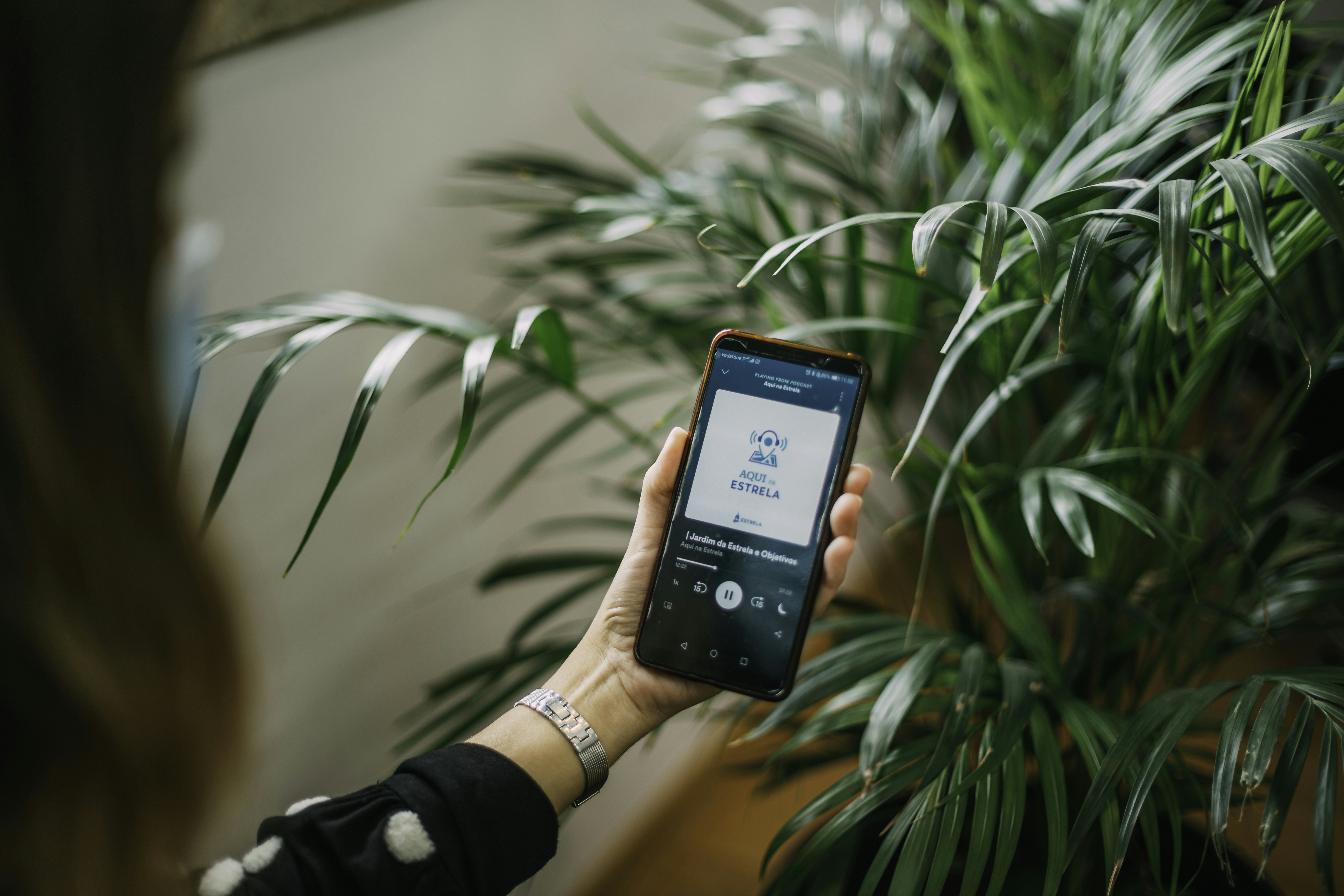 WordPress部落格分析與數據追蹤：數據驅動，提升流量與轉換！