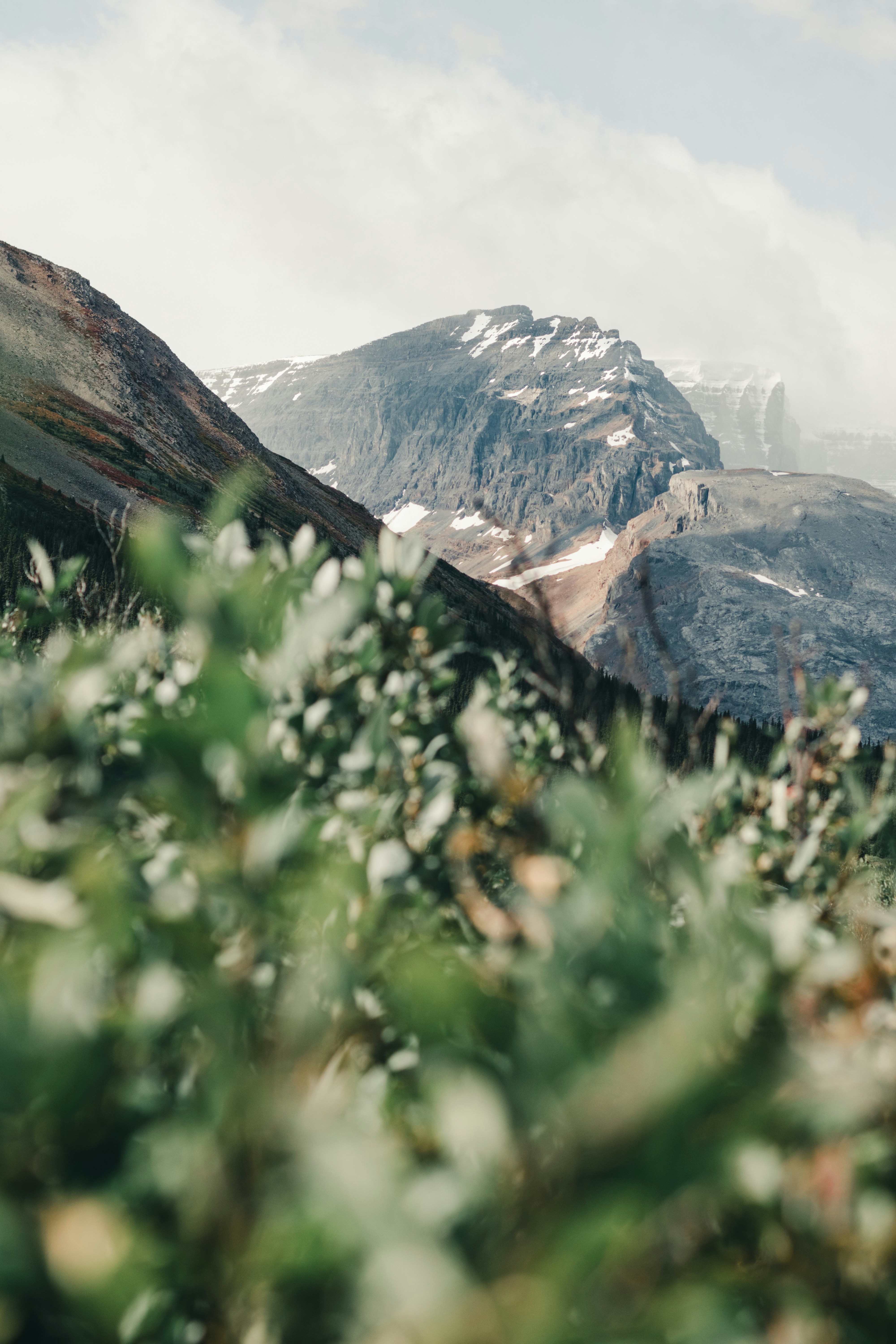 Wild Windswept Wanderings