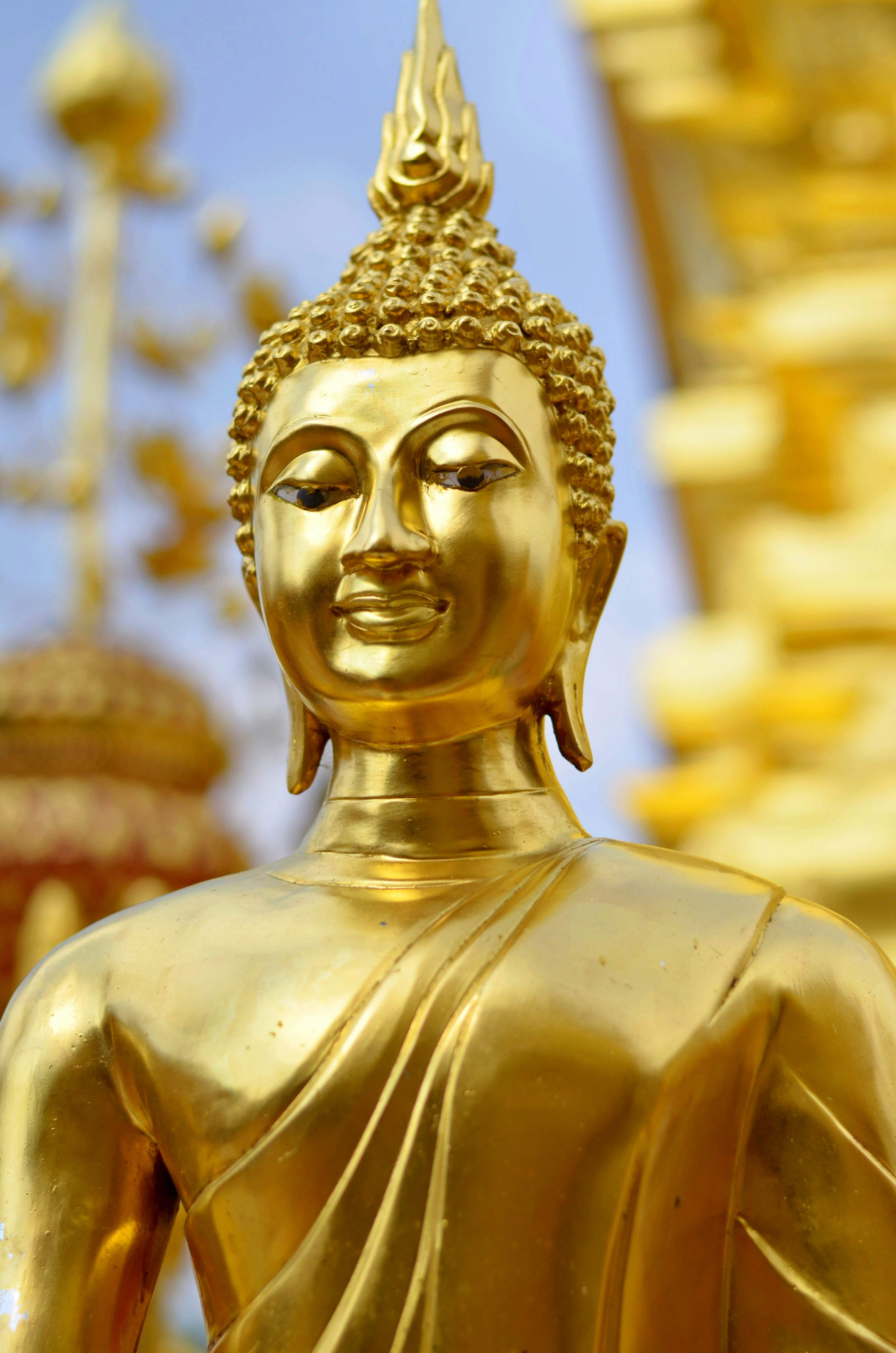 Gautam Buddha Pictures Download Free Images on Unsplash