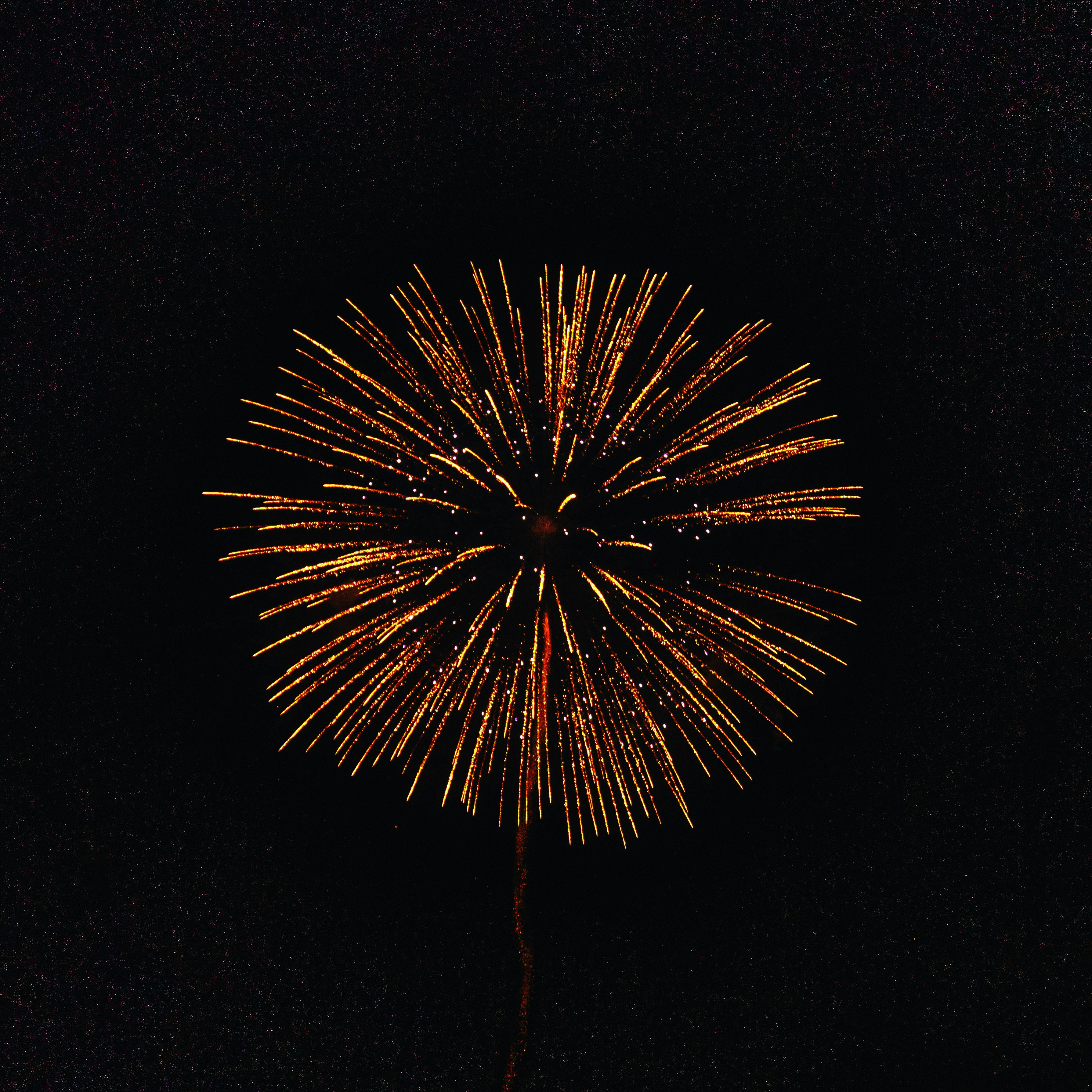 Fireworks In The Sky Pictures Download Free Images on Unsplash