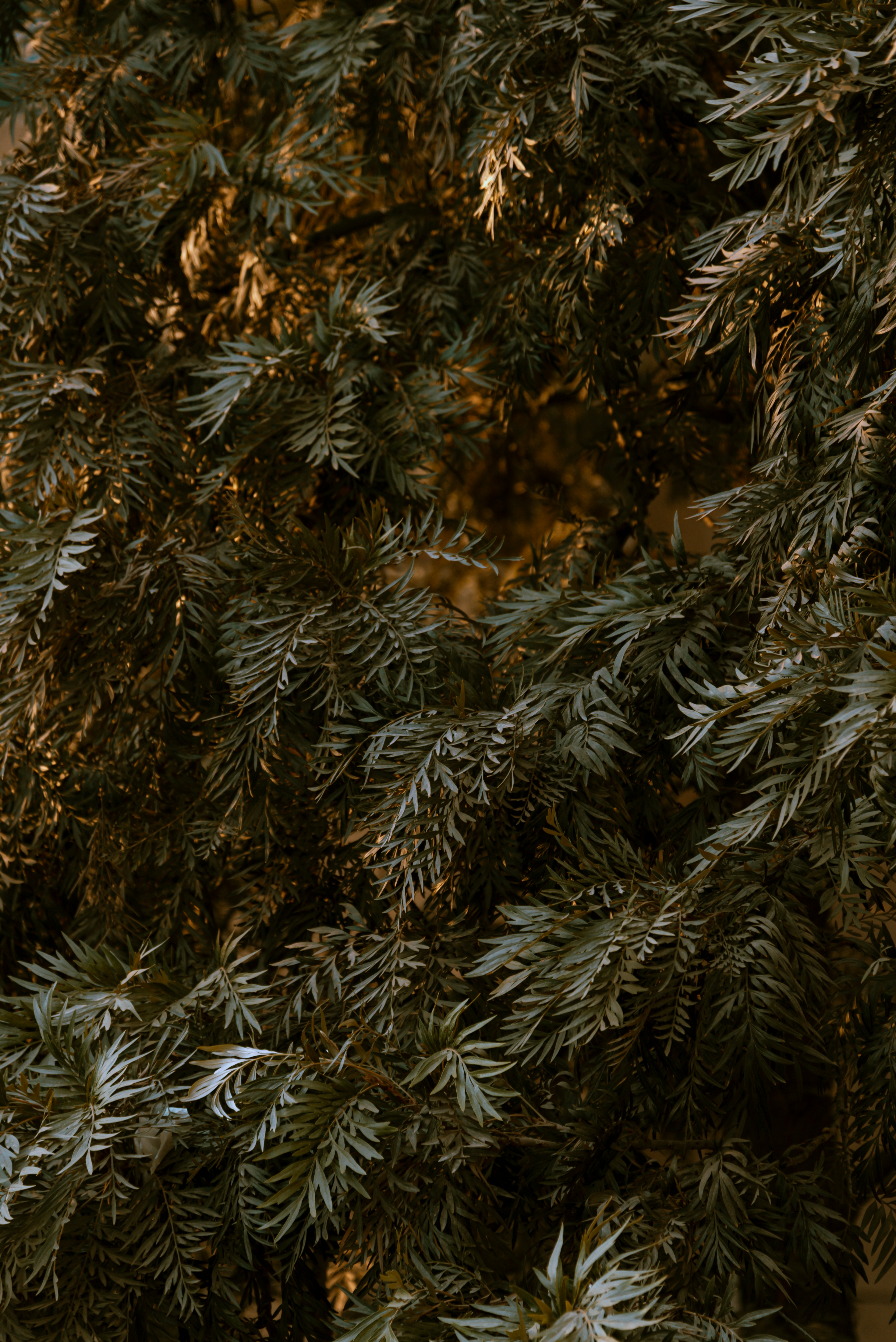 100+ Lightroom Preset Images | Download Free Pictures On Unsplash