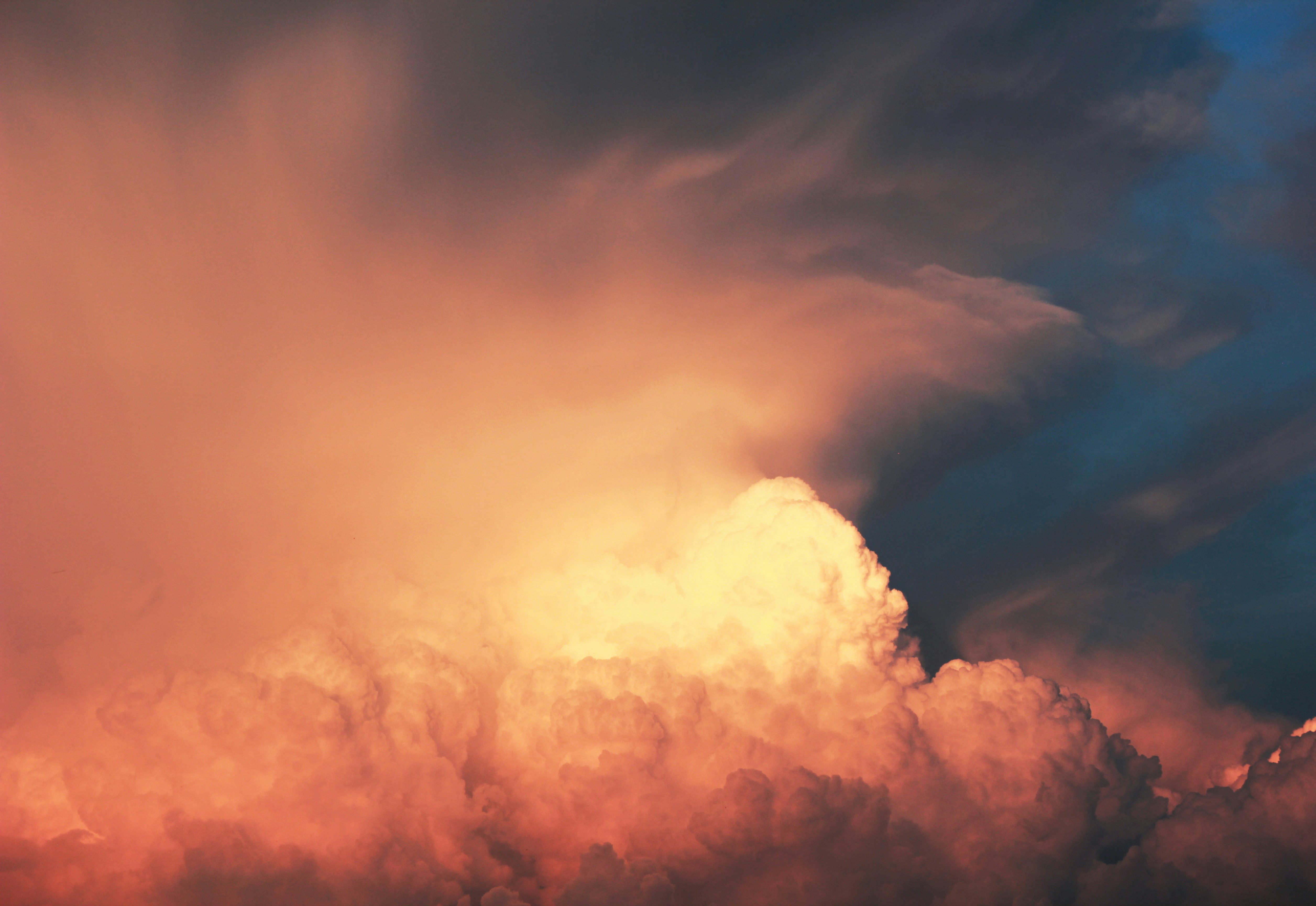 Records Management User Training Quiz & Flashcards