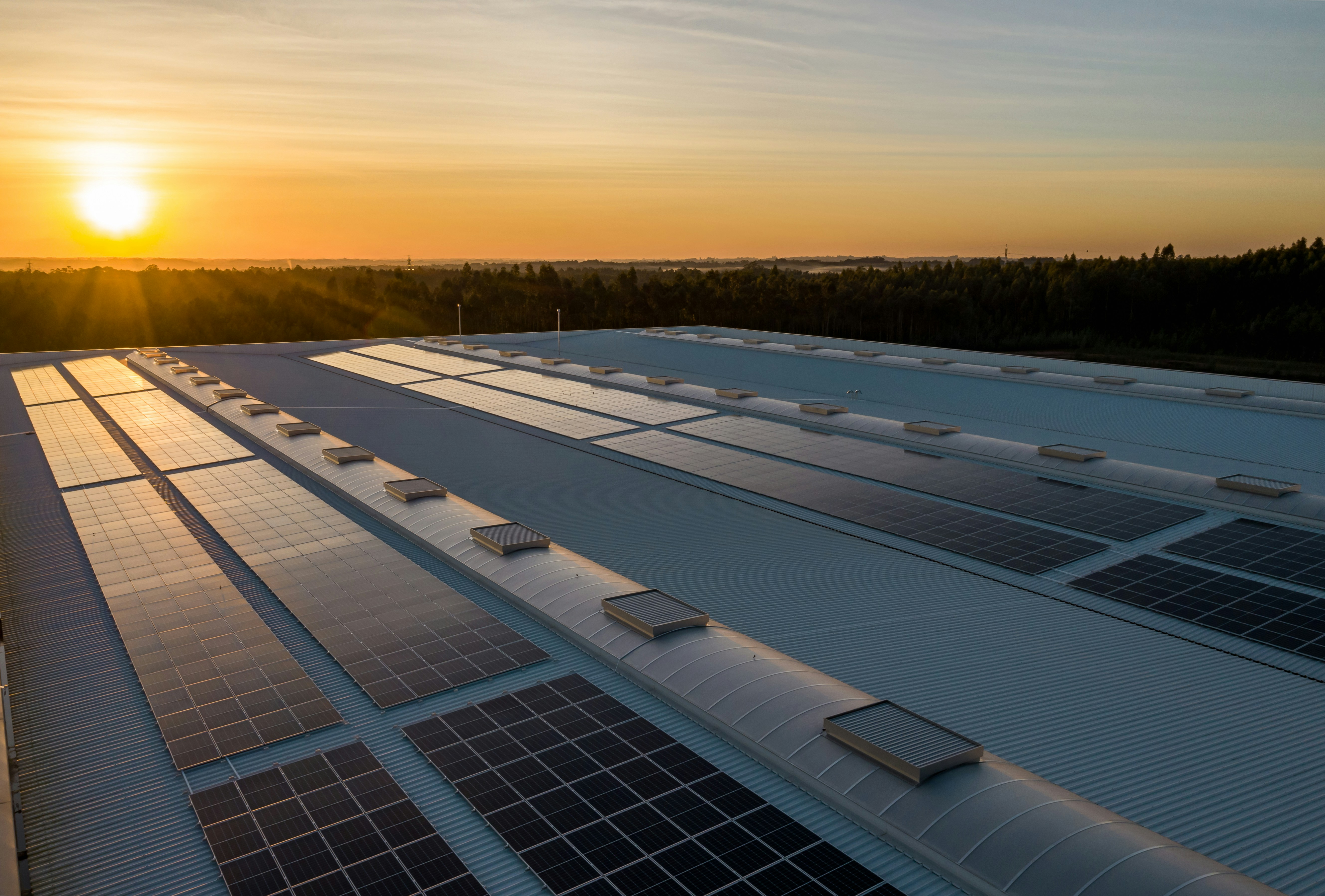 Solar Panel Cost in Plano Texas 2026