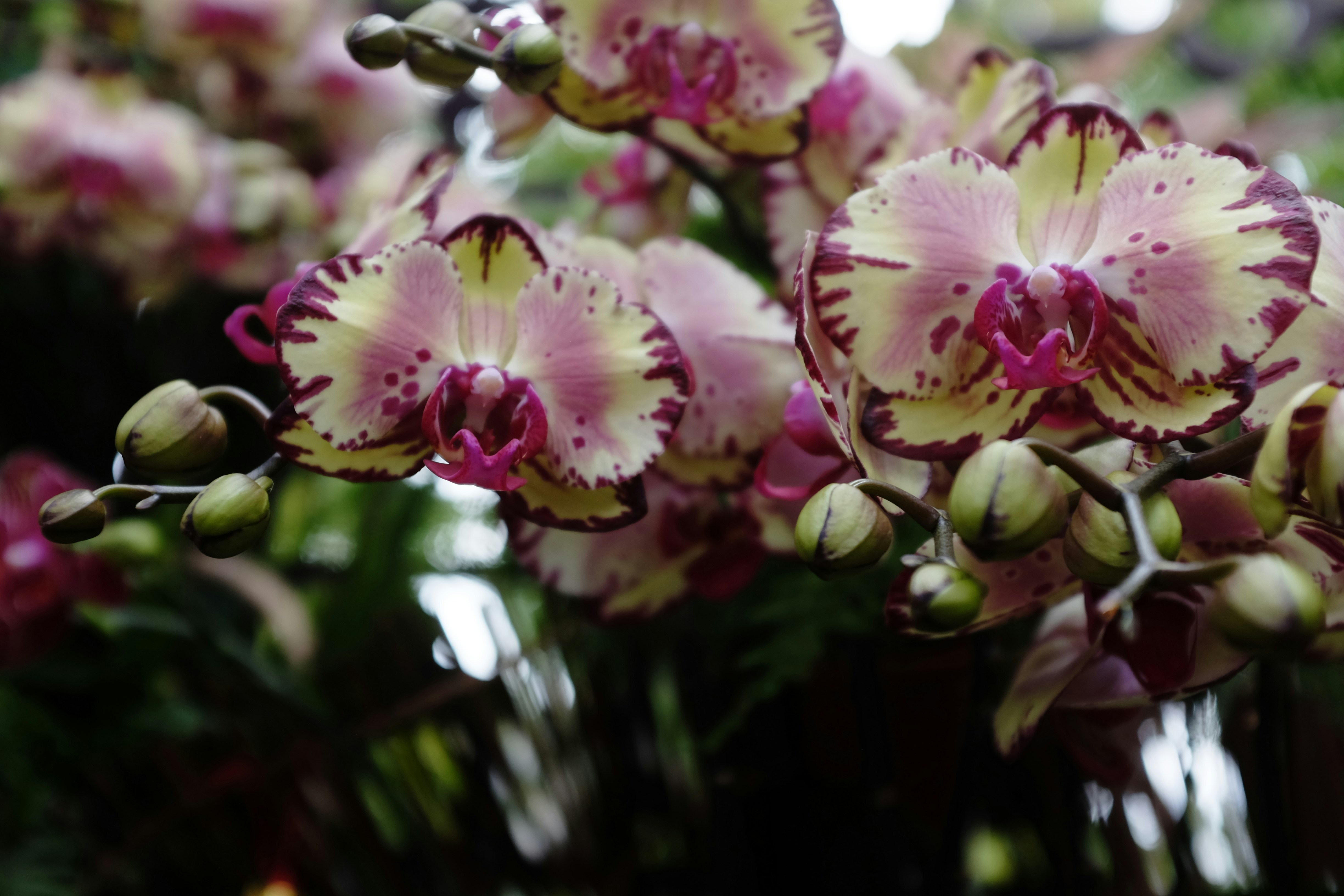 裝修申請流程優化：提高效率的小秘訣，省時省力一次到位！