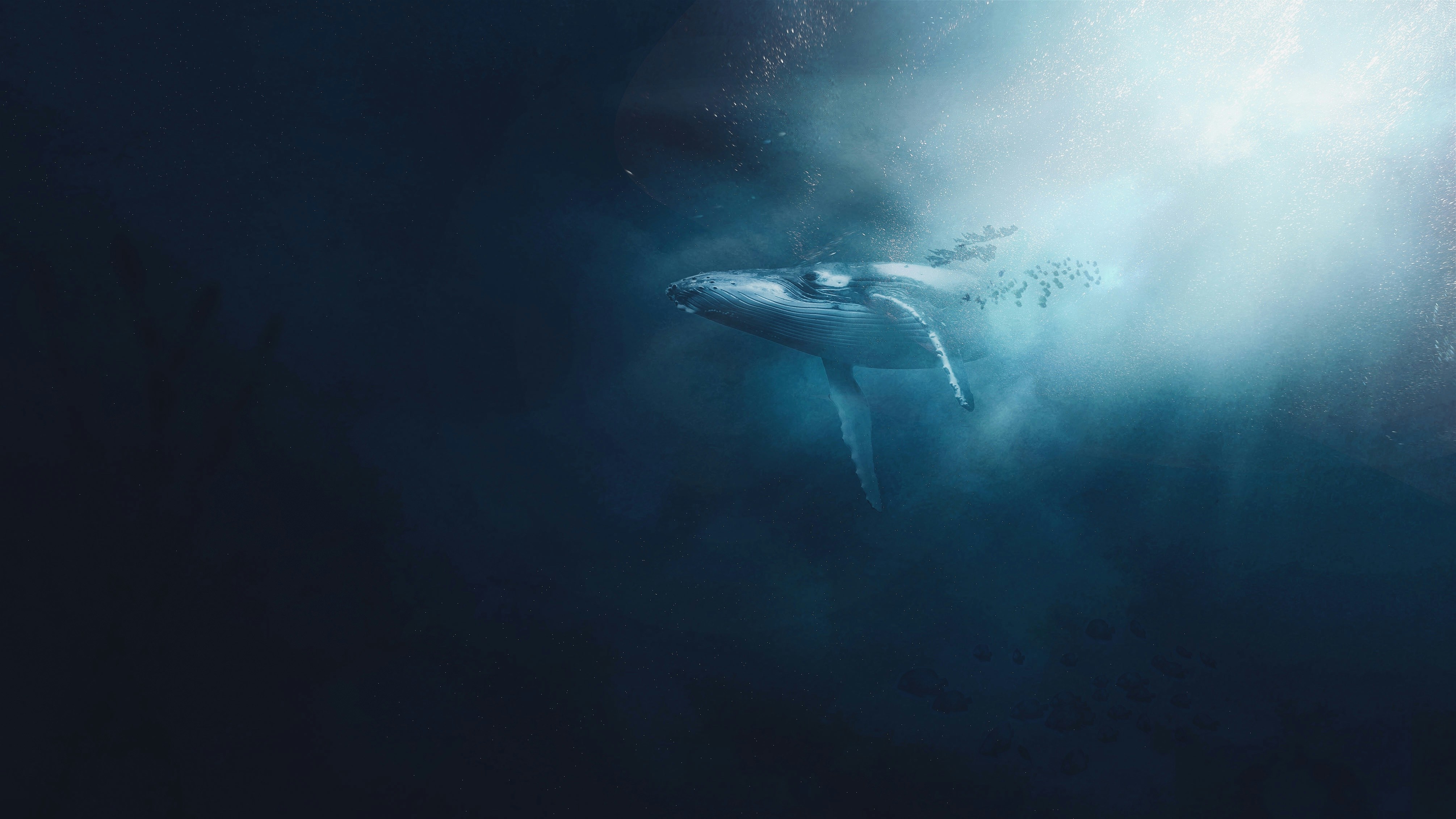 Una Ballena Bitcoin inactiva desde 2018 mueve 2.931 BTC, ¿venderá?