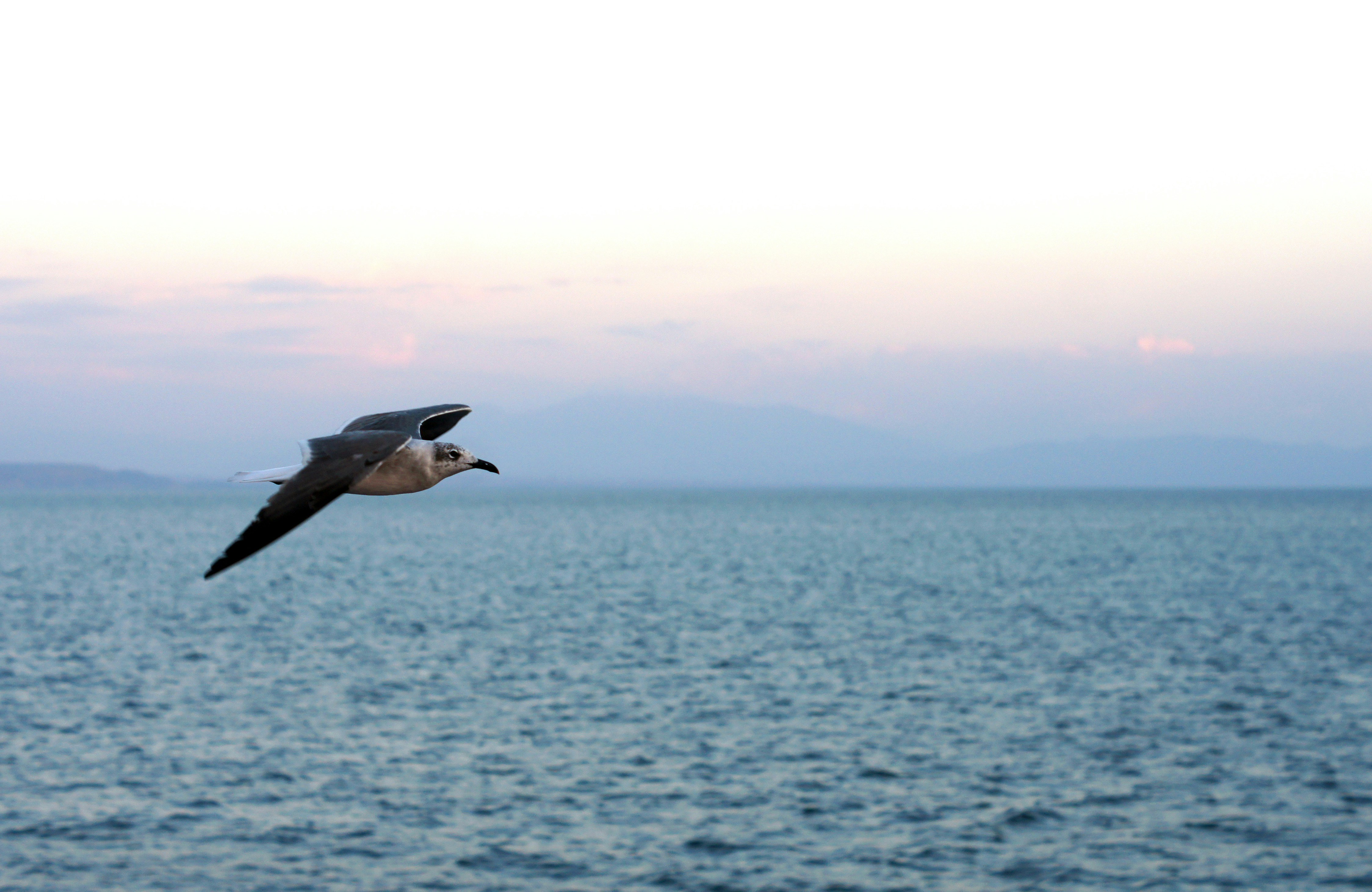 Montezuma, Puntarenas, CR Climate Zone, Monthly Averages, Historical