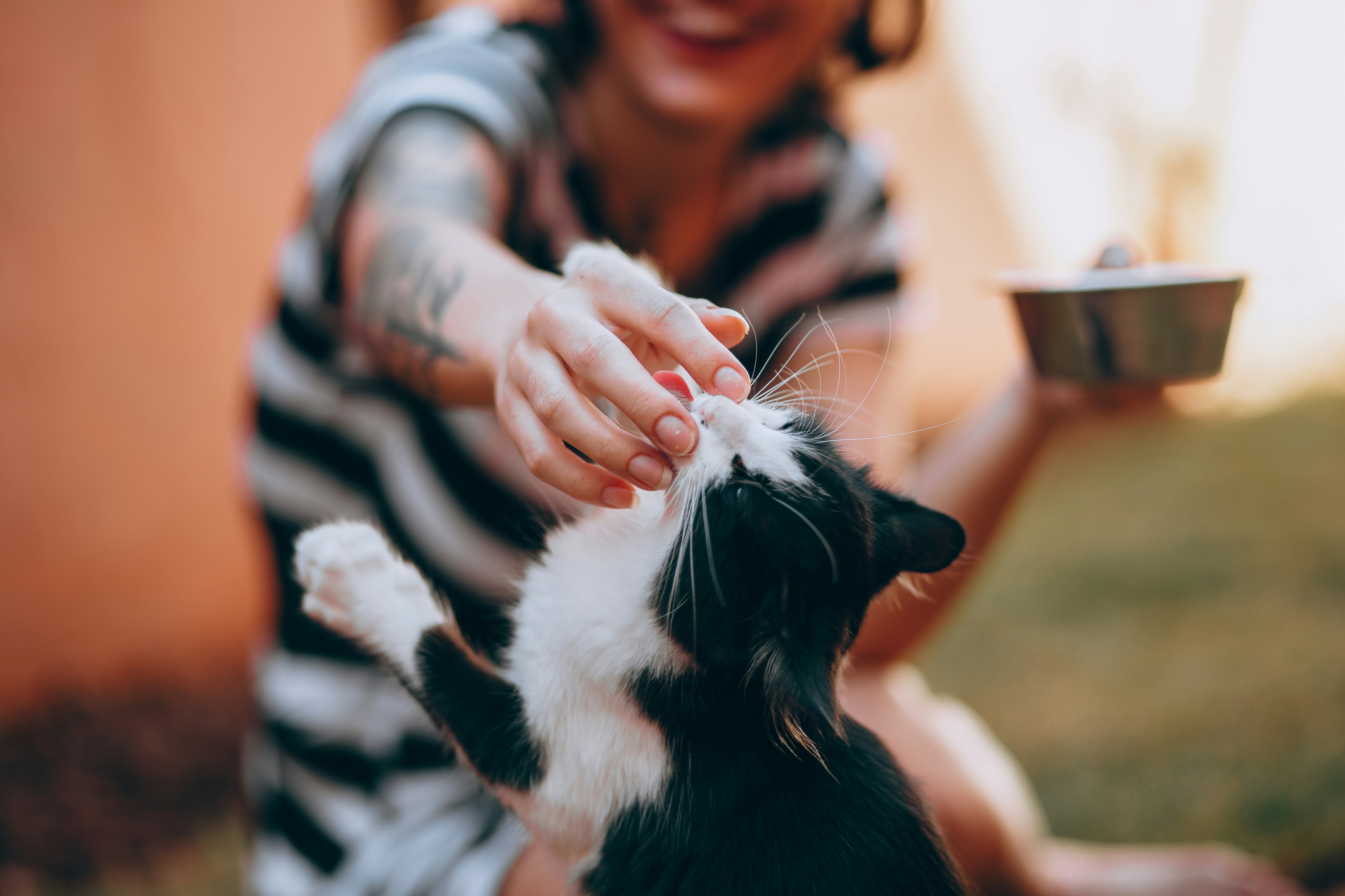 7 Group Activities to Boost Pets’ Brain Social Skills