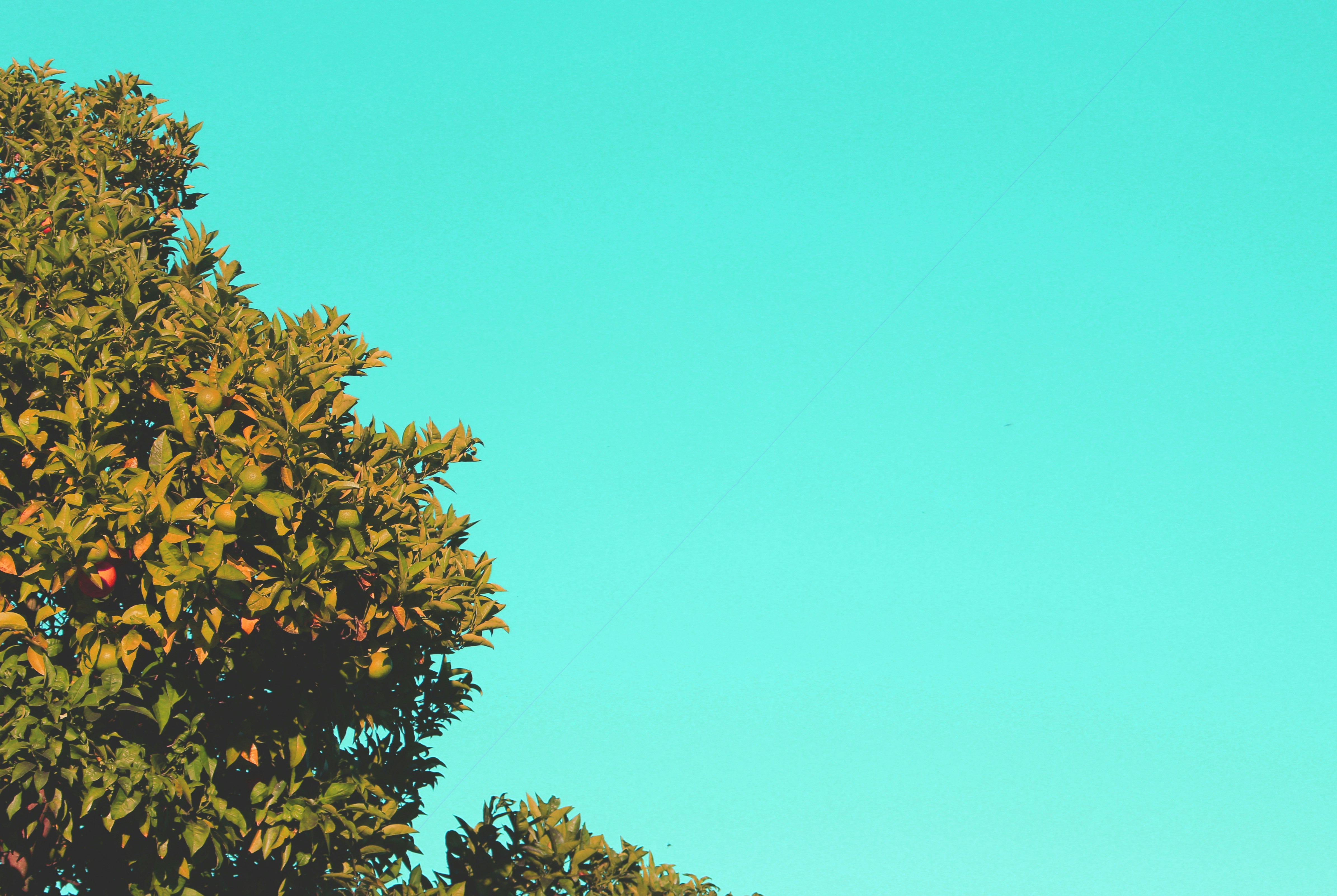 致富密技大公開！別再死薪水！