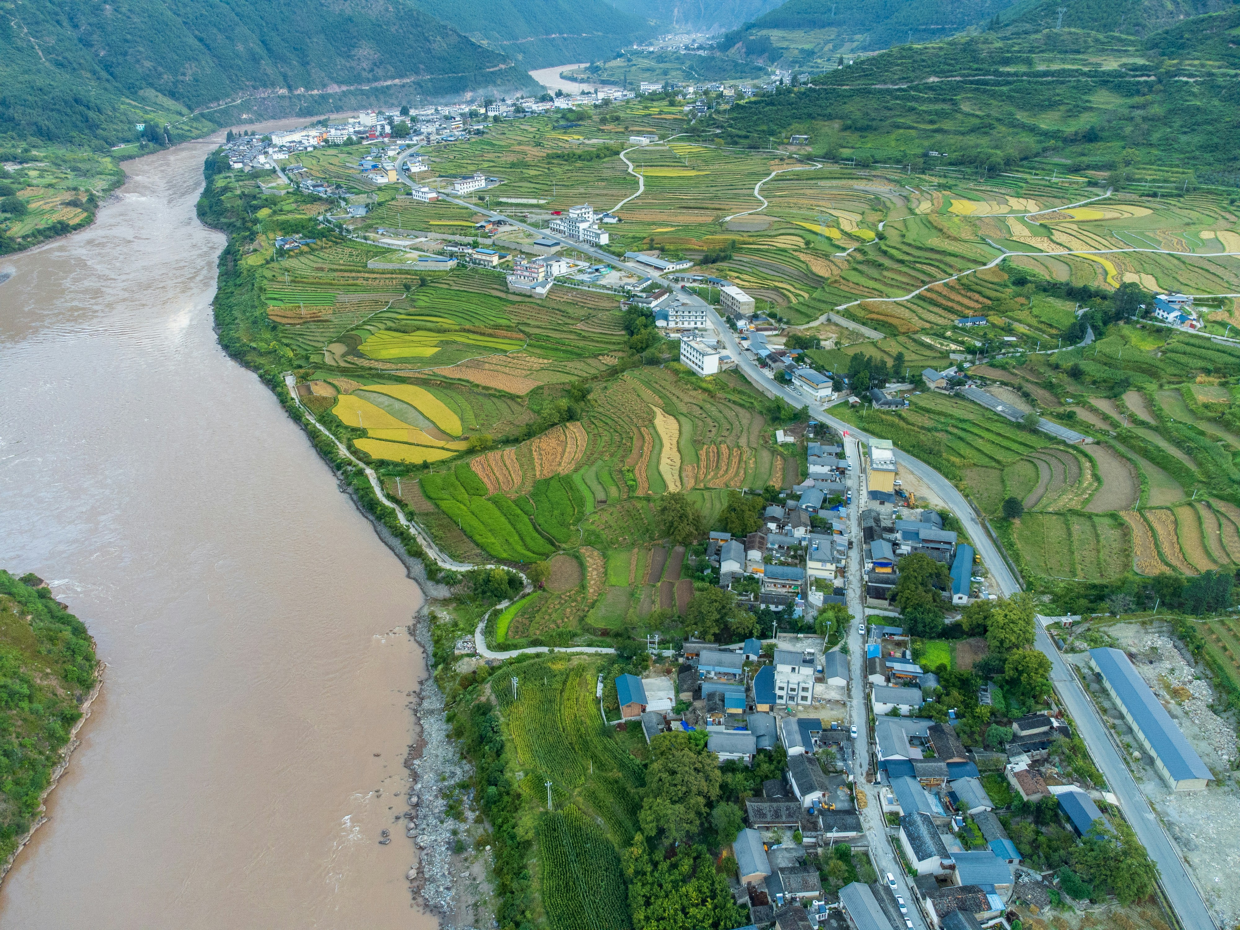 85.800 ha lúa Đồng bằng sông Cửu Long đứng trước nguy cơ hạn mặn khi El Nino có thể vượt mức lịch sử 2015–2016