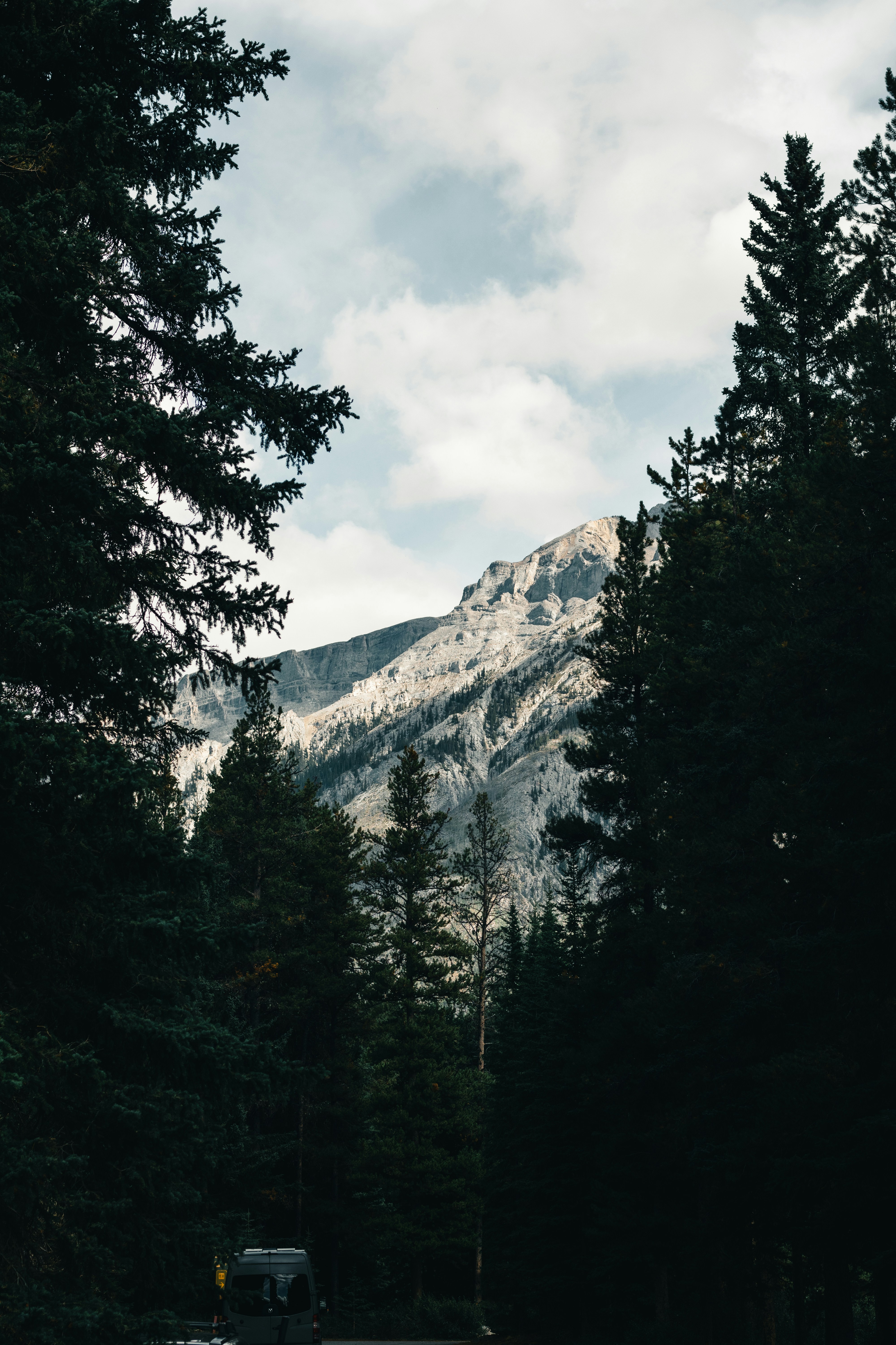 Roaming the Wild: Uncharted Escapes That Ignite the Soul