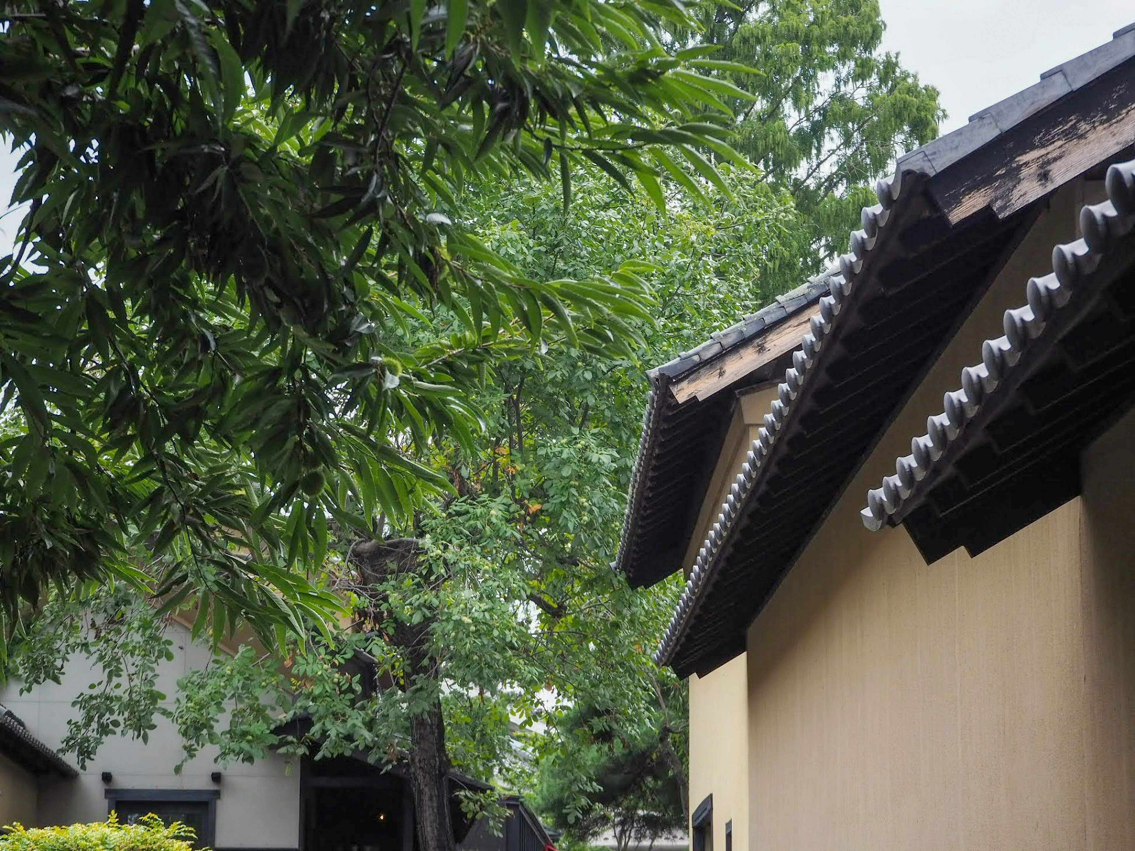 😱裝潢蟑螂退散！3招自保，別讓你的血汗錢人間蒸發！(含合約魔鬼細節)