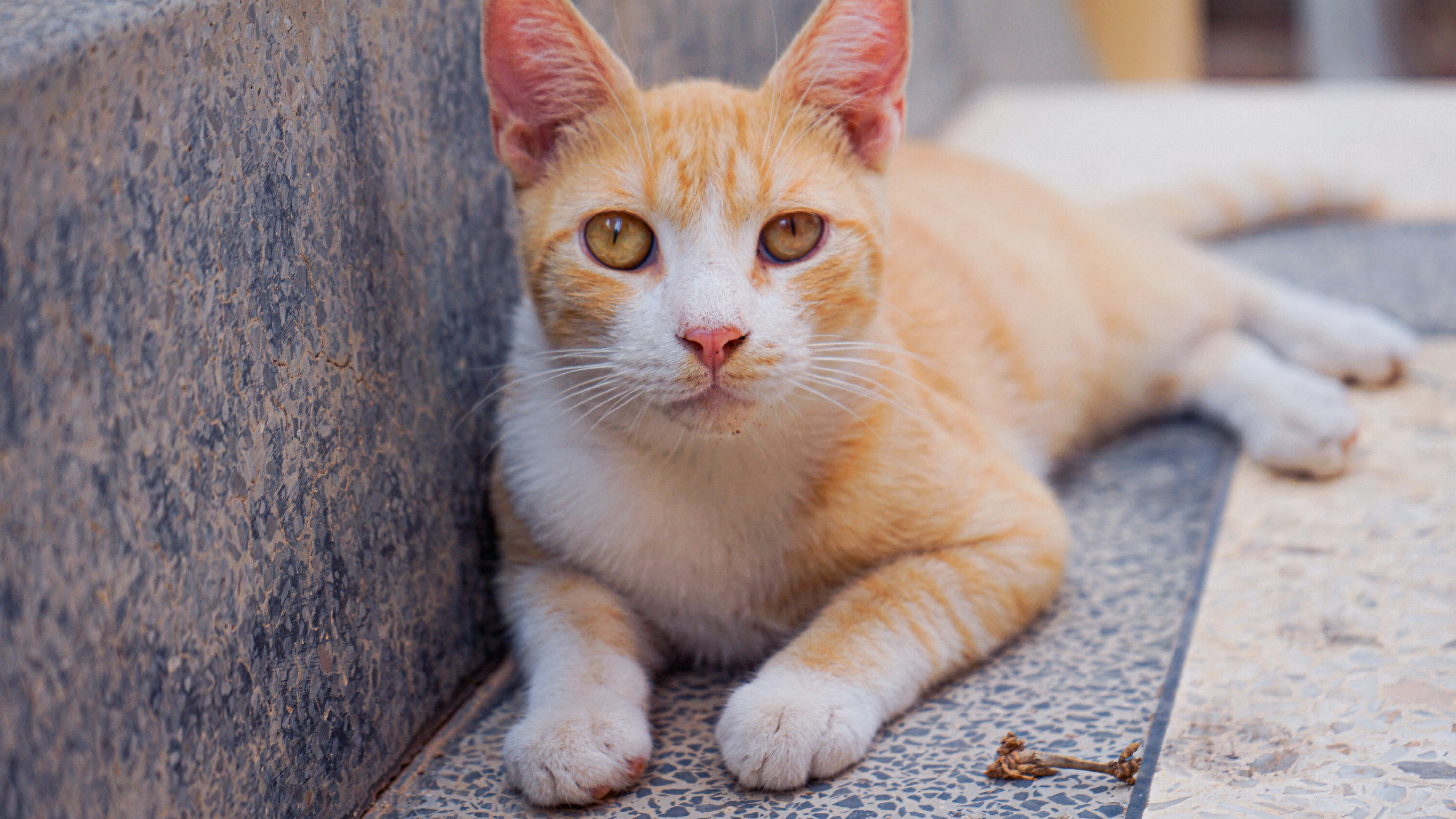 預算編列常見錯誤與解決方案：避開陷阱，提升財務管理效率