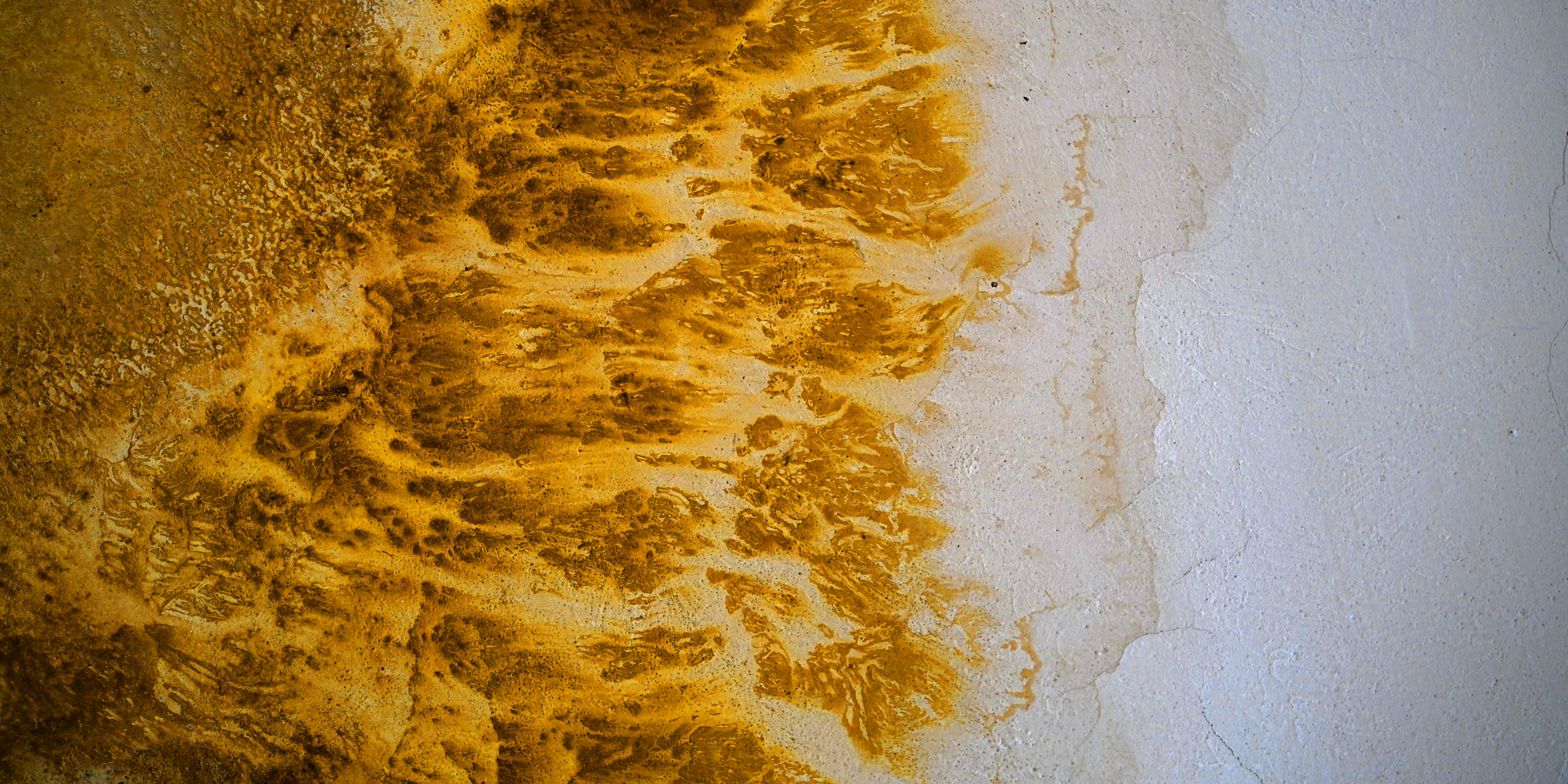 Amber Louise OnlyFans Leaks Pictures | Download Free Images on Unsplash