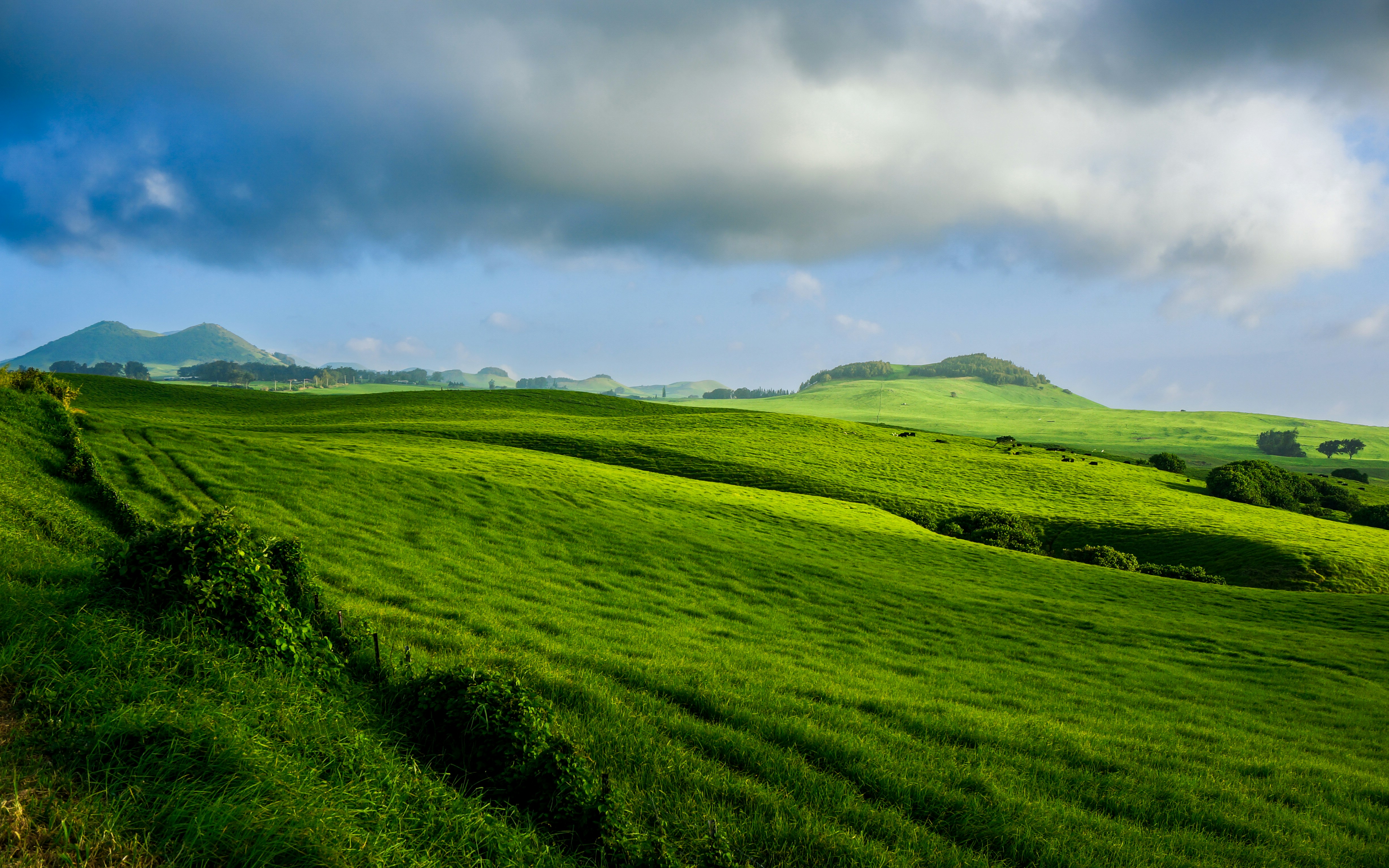 A green hilly landscape photo Free Hawaii Image on Unsplash
