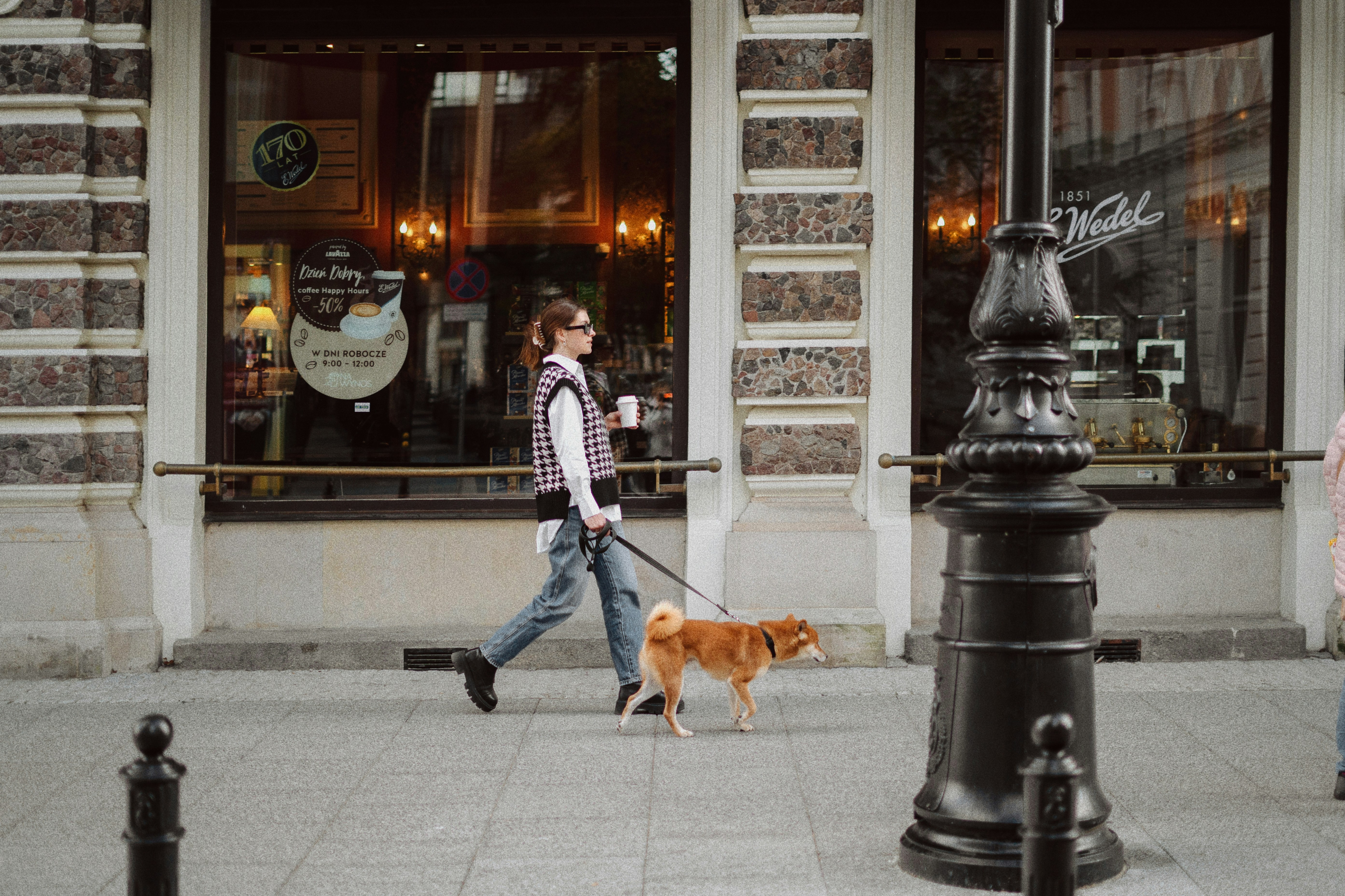 A person walking a dog on a leash photo Free Dog Image on Unsplash