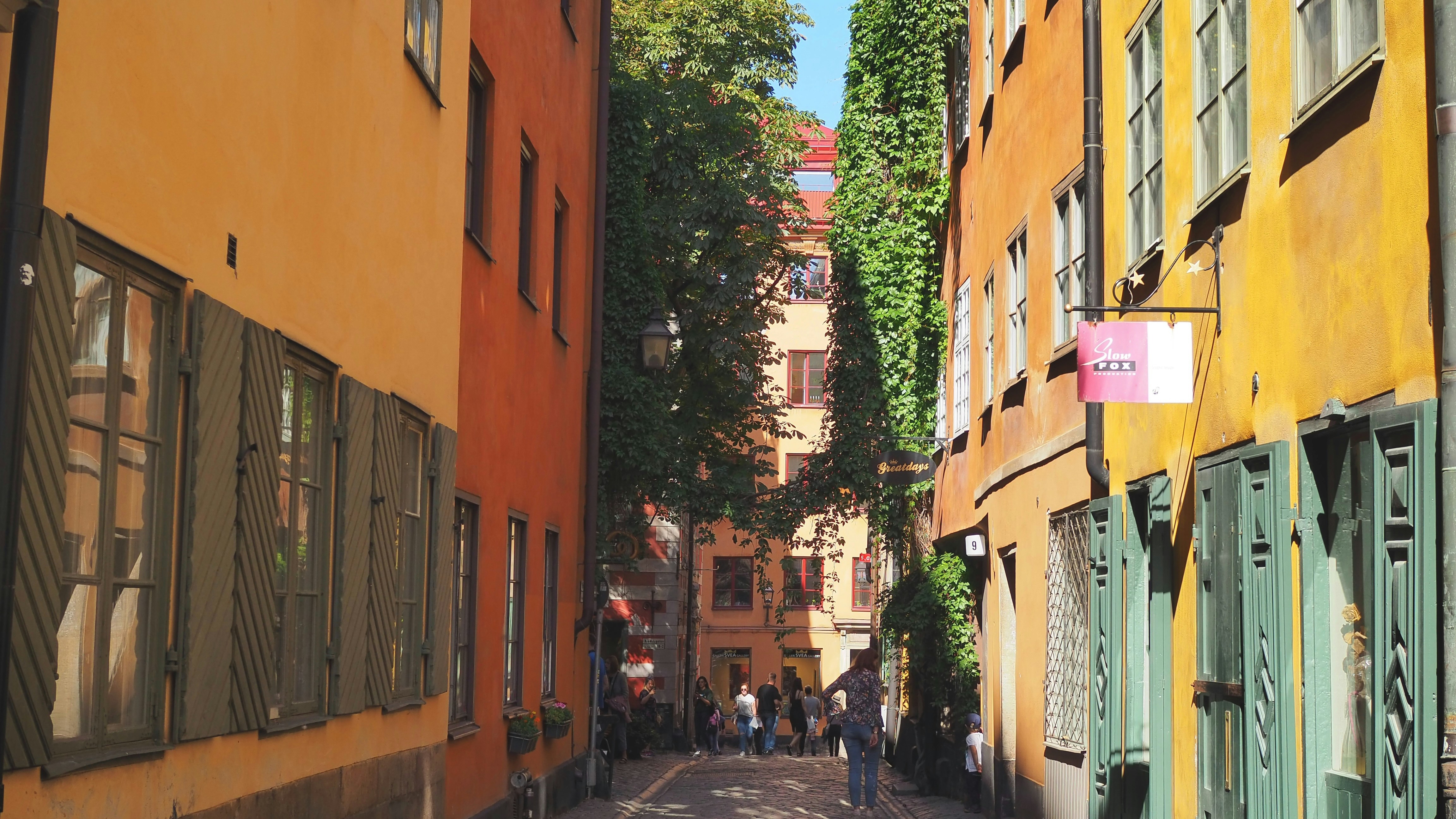 驚！這東西放家裡，財神爺嚇到不敢進門！