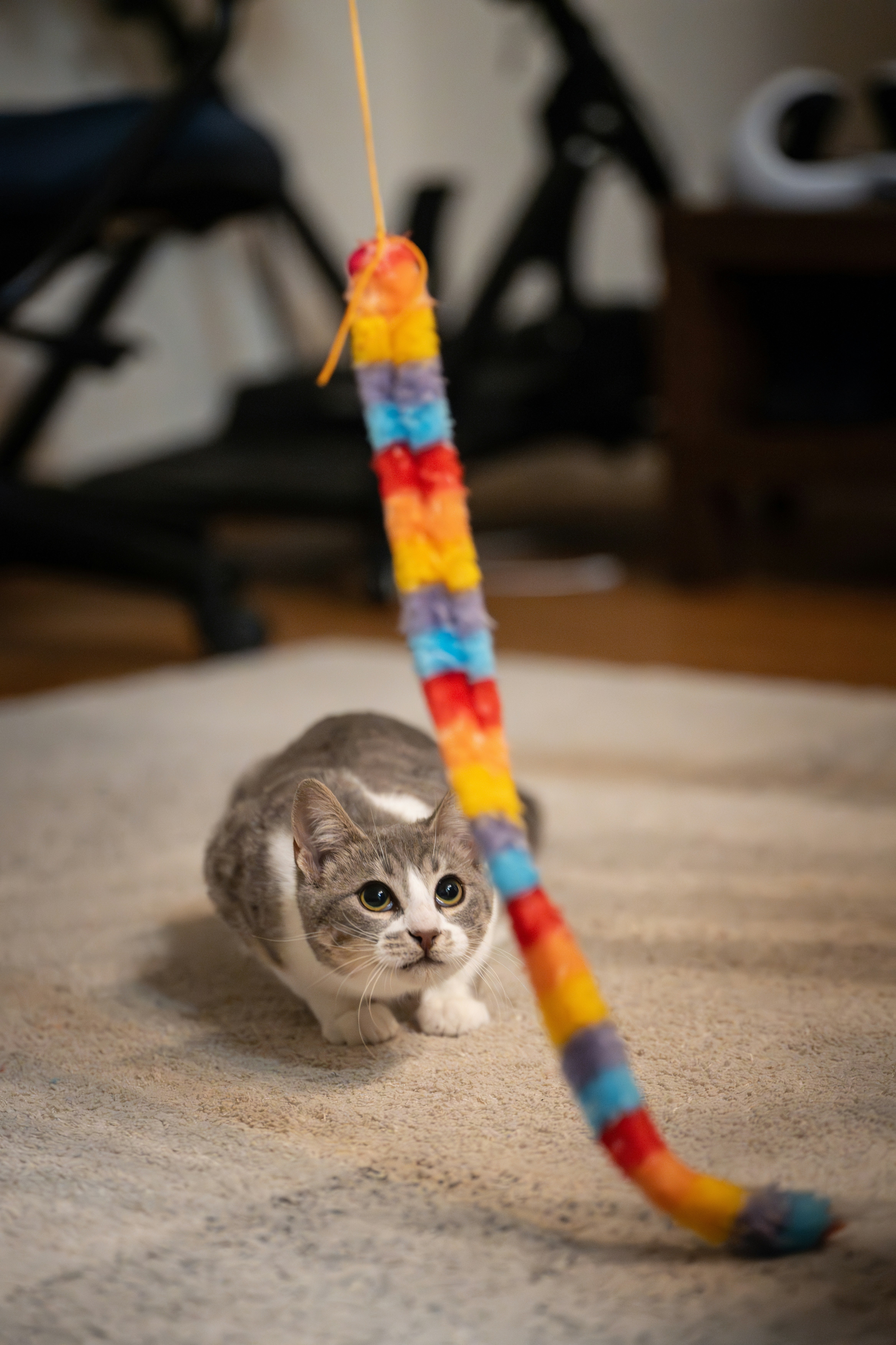 11 Creative Rope Toy Ideas from Pet Cats World