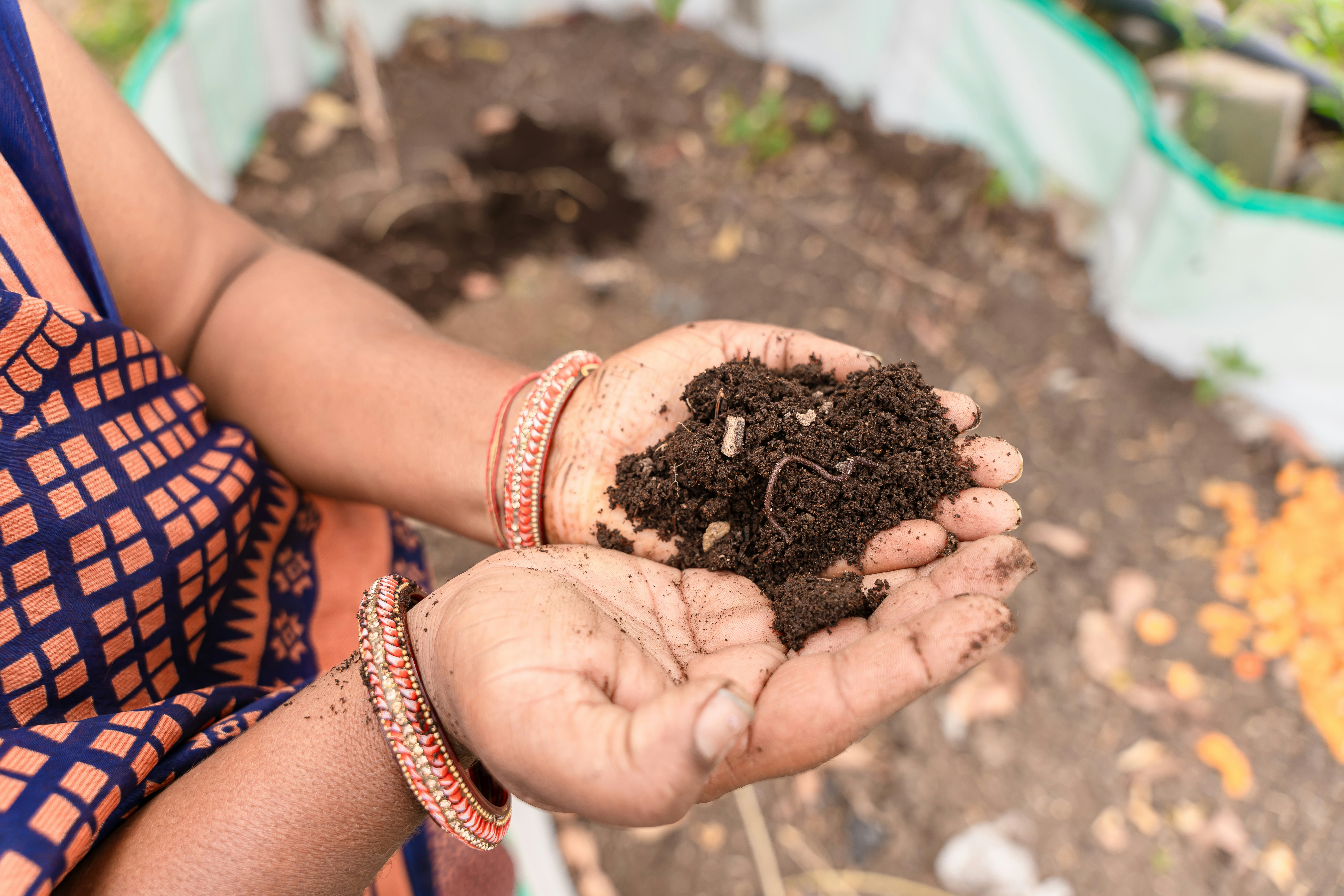 What Soil Is Best for Growing Healthy Garden Plants