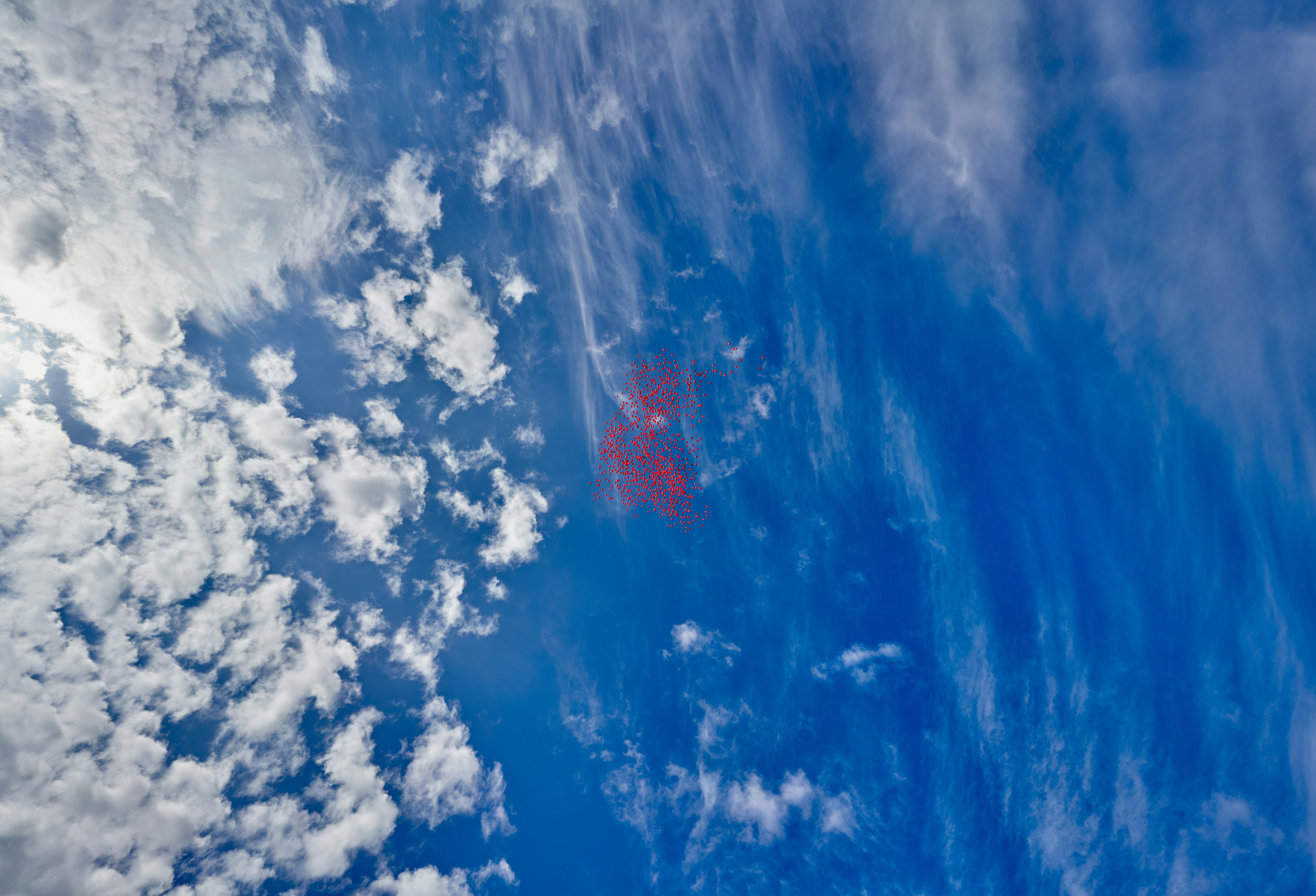 🔥 小資族必看！爆紅「空間魔法」，房間瞬間變豪宅！學到賺到！