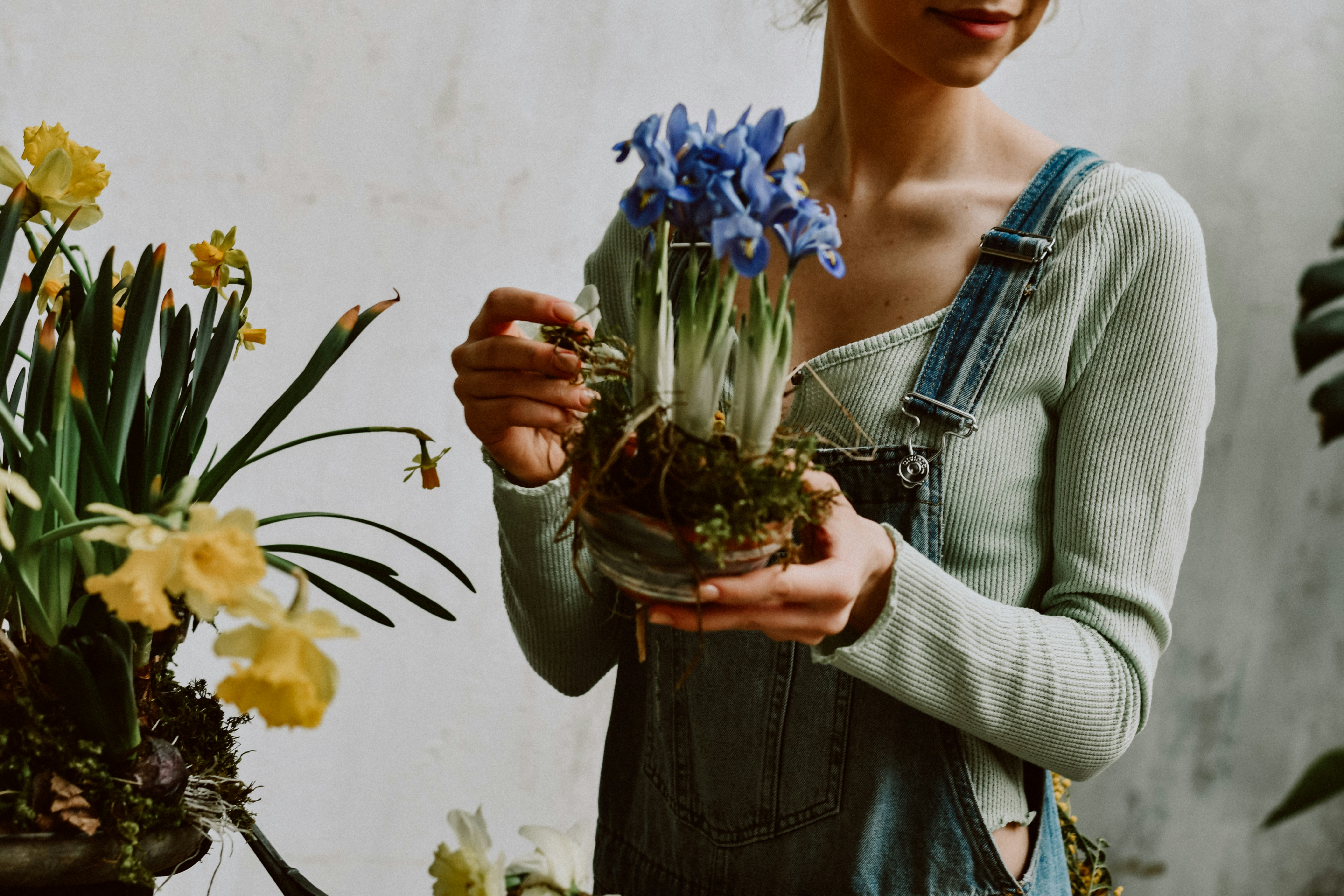 10 Best Plant Care Apps for Android and Ios