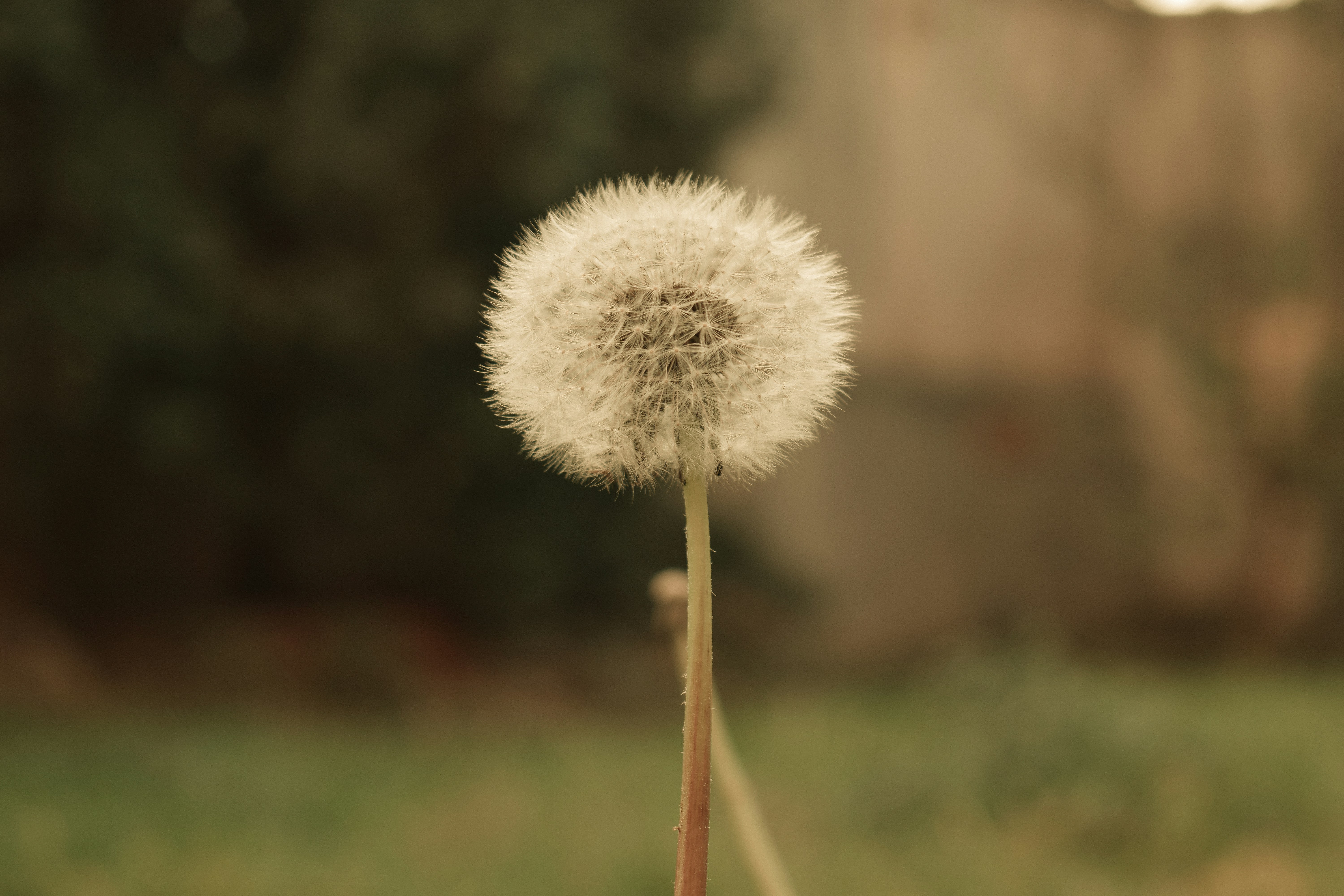 案例一：色彩的魔法