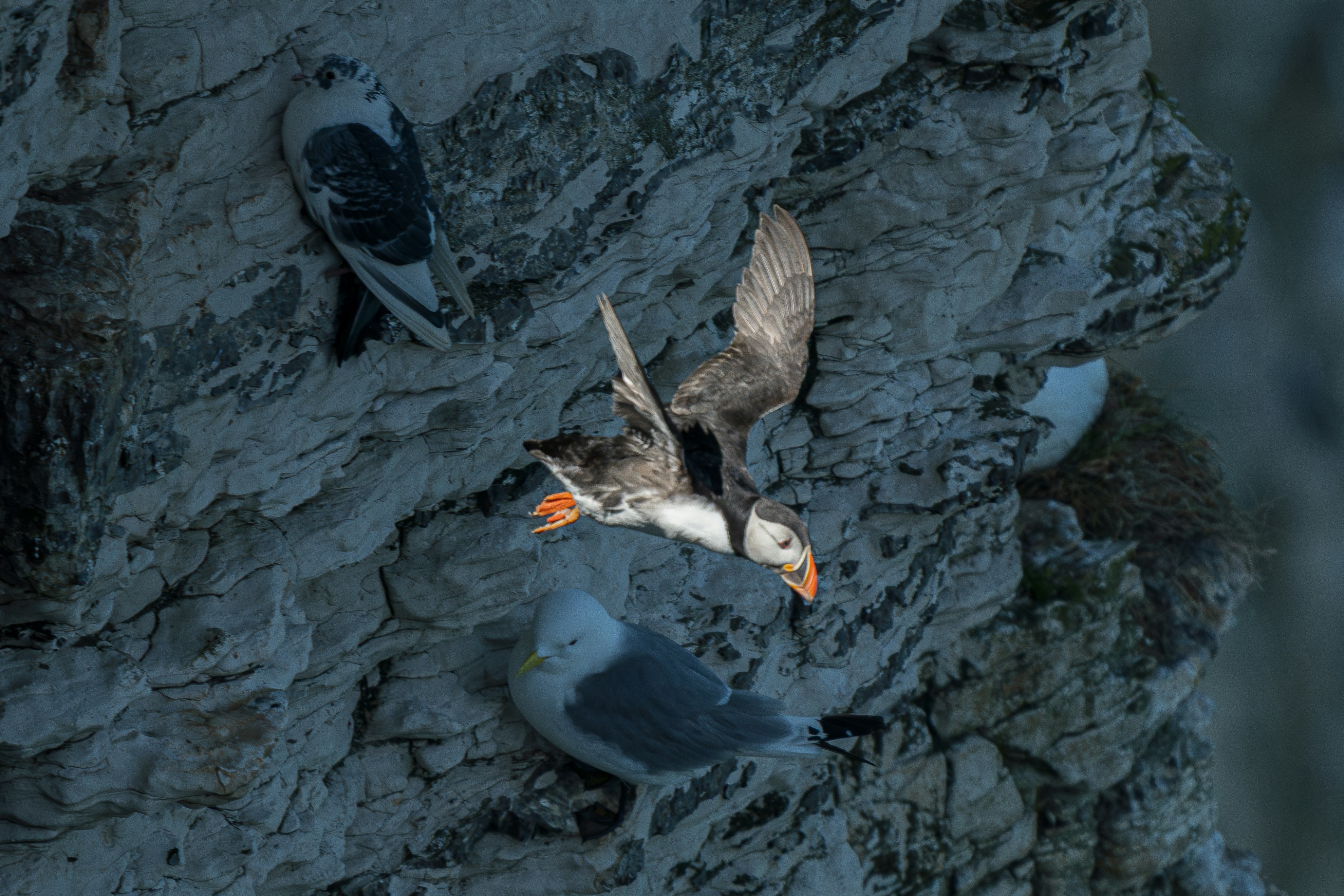 여름 과일로 만드는 상큼한 디저트: 시원하고 달콤한 여름 맛의 비밀