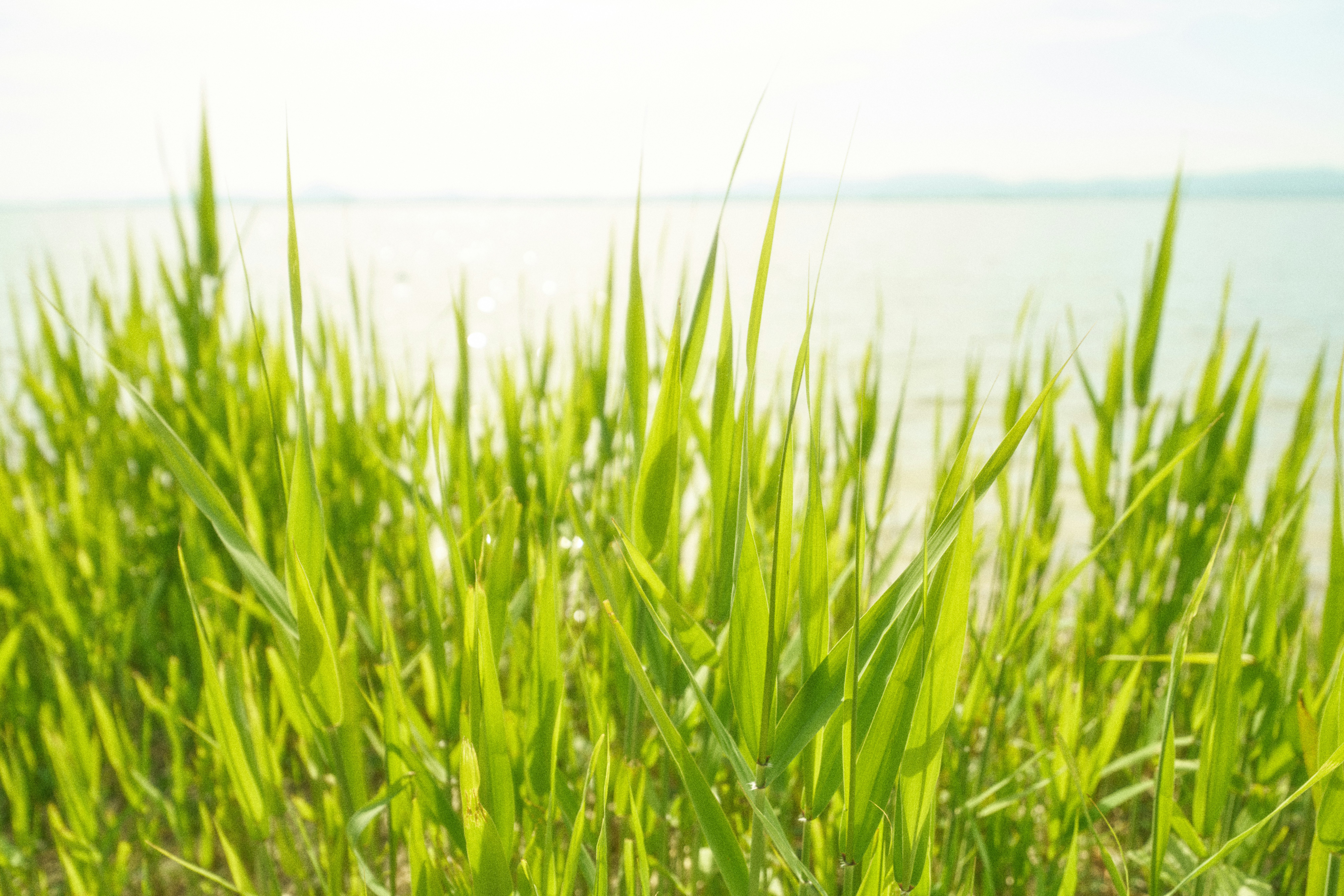 房間再小也不怕！視覺放大術公開