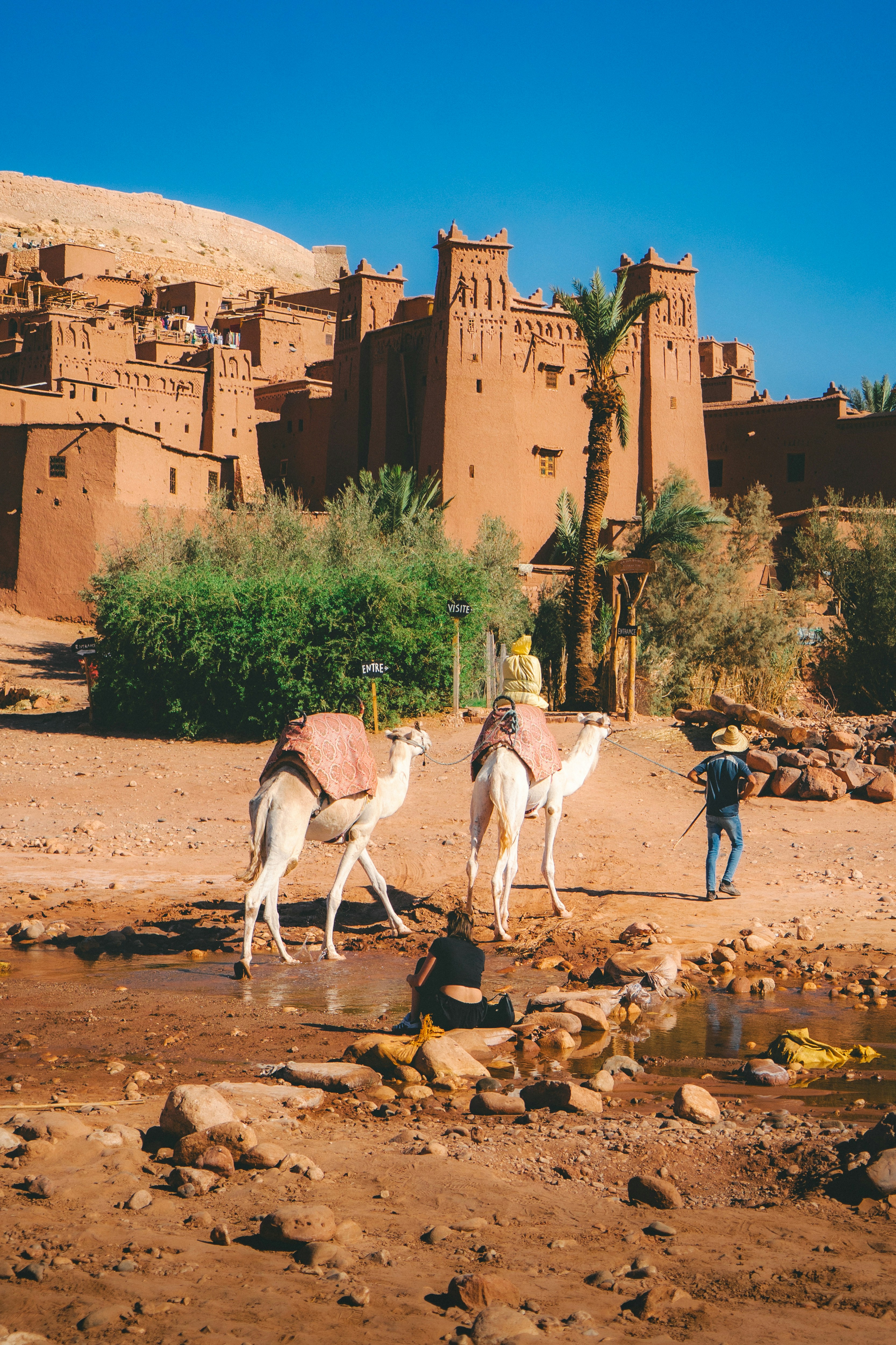 Step beyond borders: Where every destination tells a story you’ll never forget