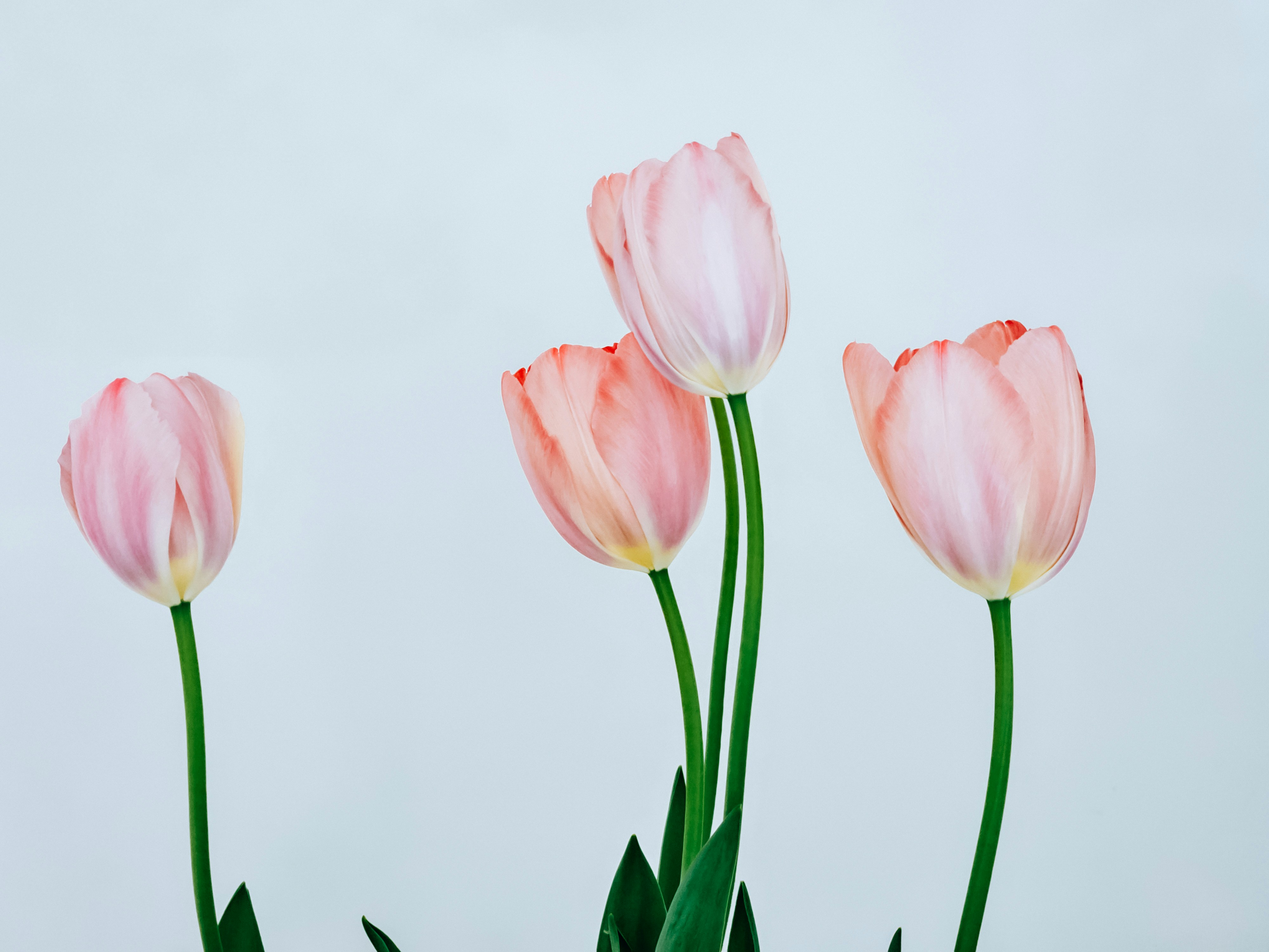 Summer Wedding Flowers The Hidden Key to Choosing the Right Florist