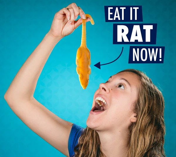Gummy Rat Deliciously gross gummy rodent.