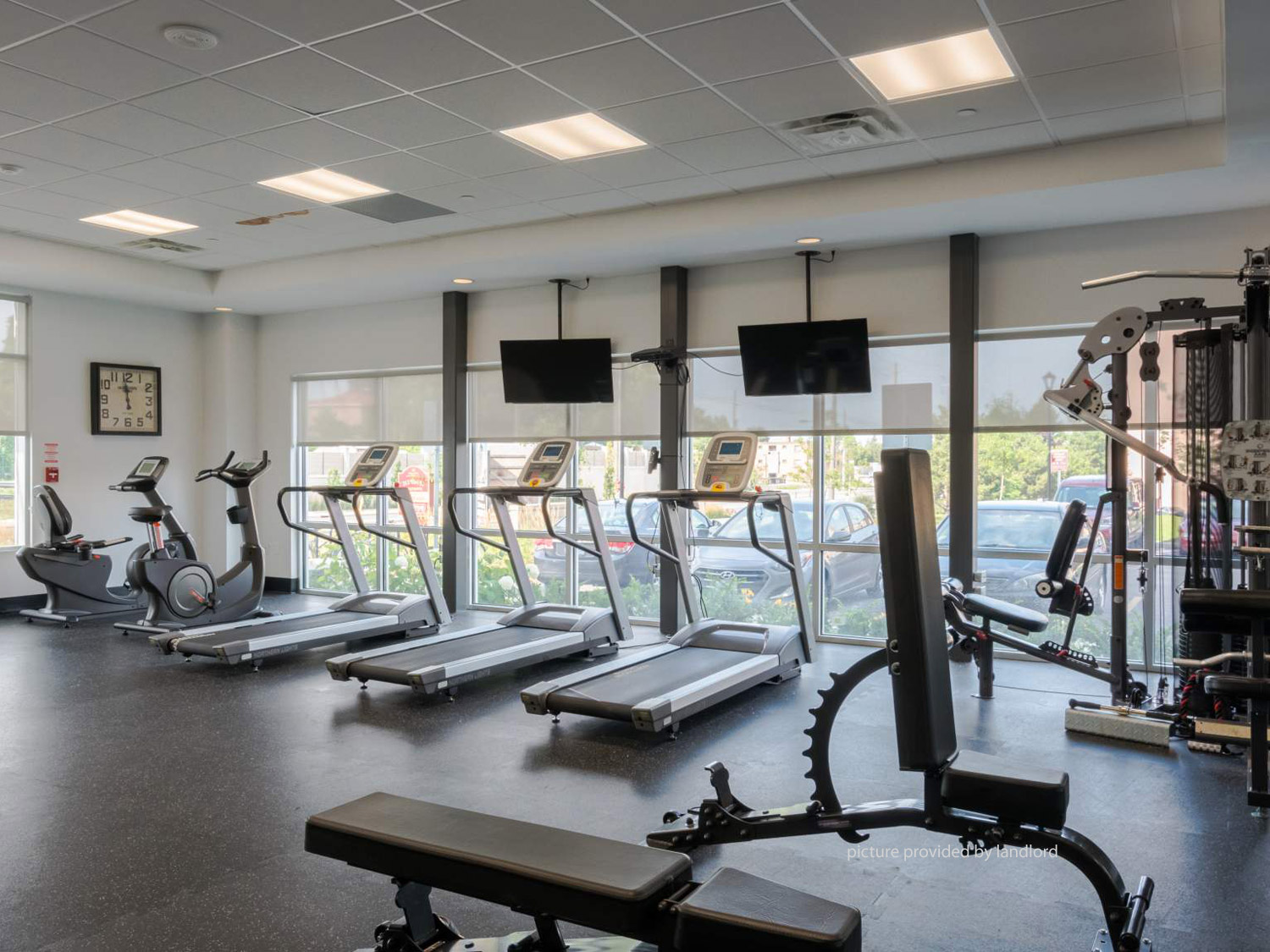 DAVISPARKSIDE, NEWMARKET, ON 1 Bedroom for rent NEWMARKET Apartments