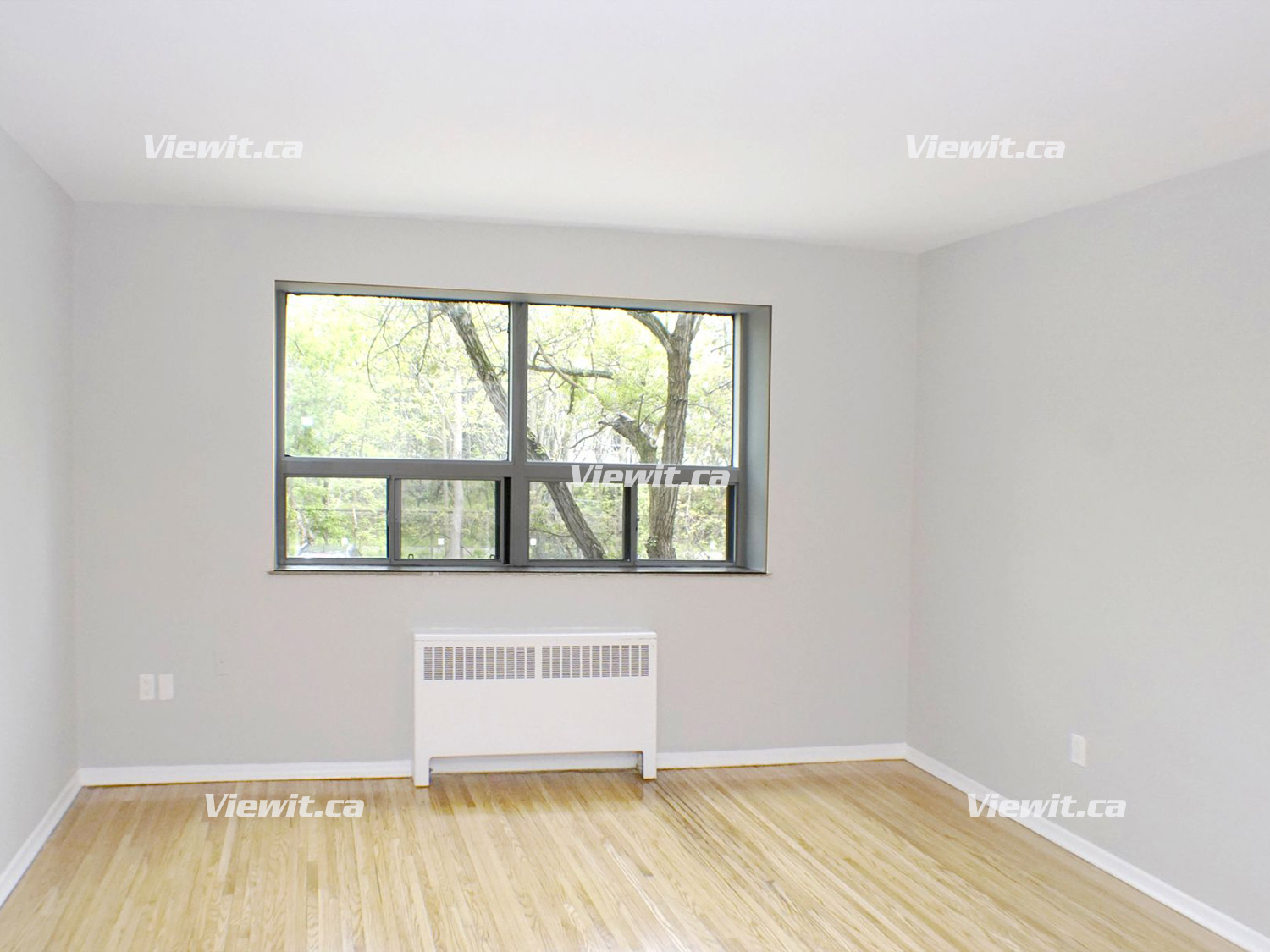 For rent 17101716 Main St W Hamilton, 3+ bdrm Viewit 193178