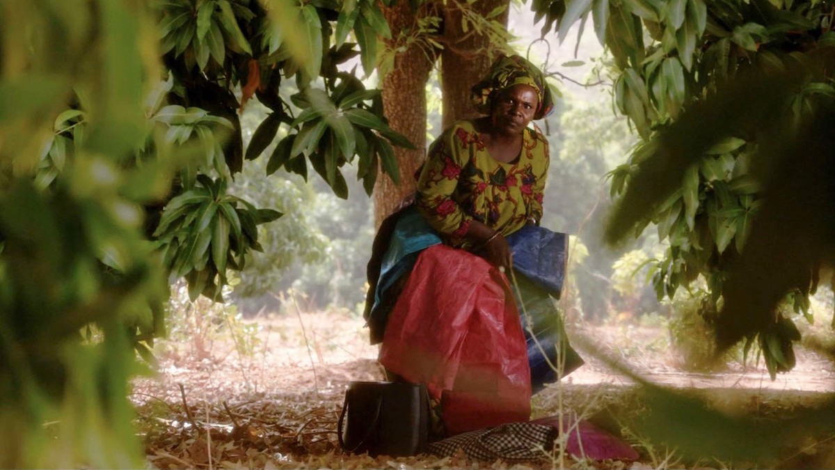 25th New York African Film Festival to Commemorate Nelson Mandela's