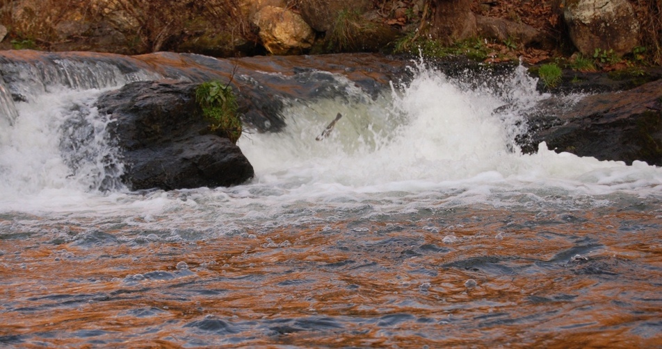 Cotter & Gassville Arkansas Chamber of Commerce