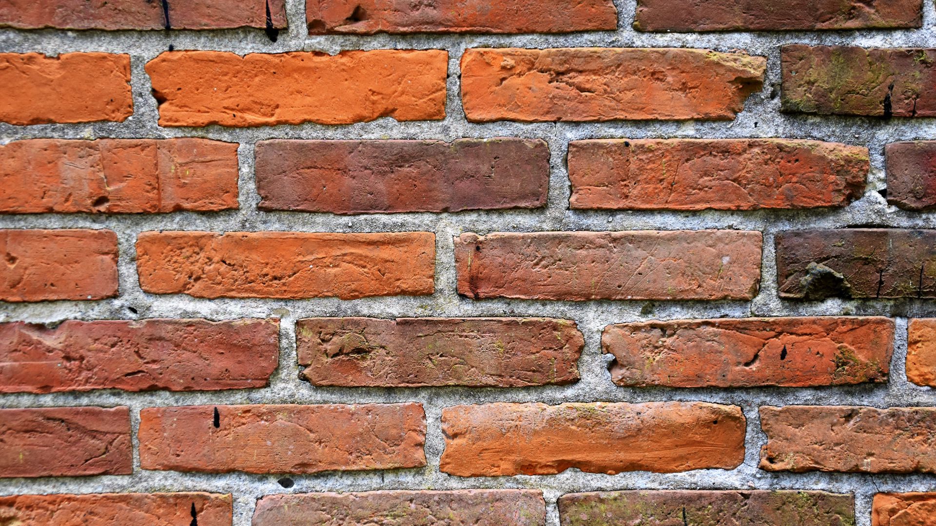 Download wallpaper 1920x1080 brick, wall, texture full hd, hdtv, fhd
