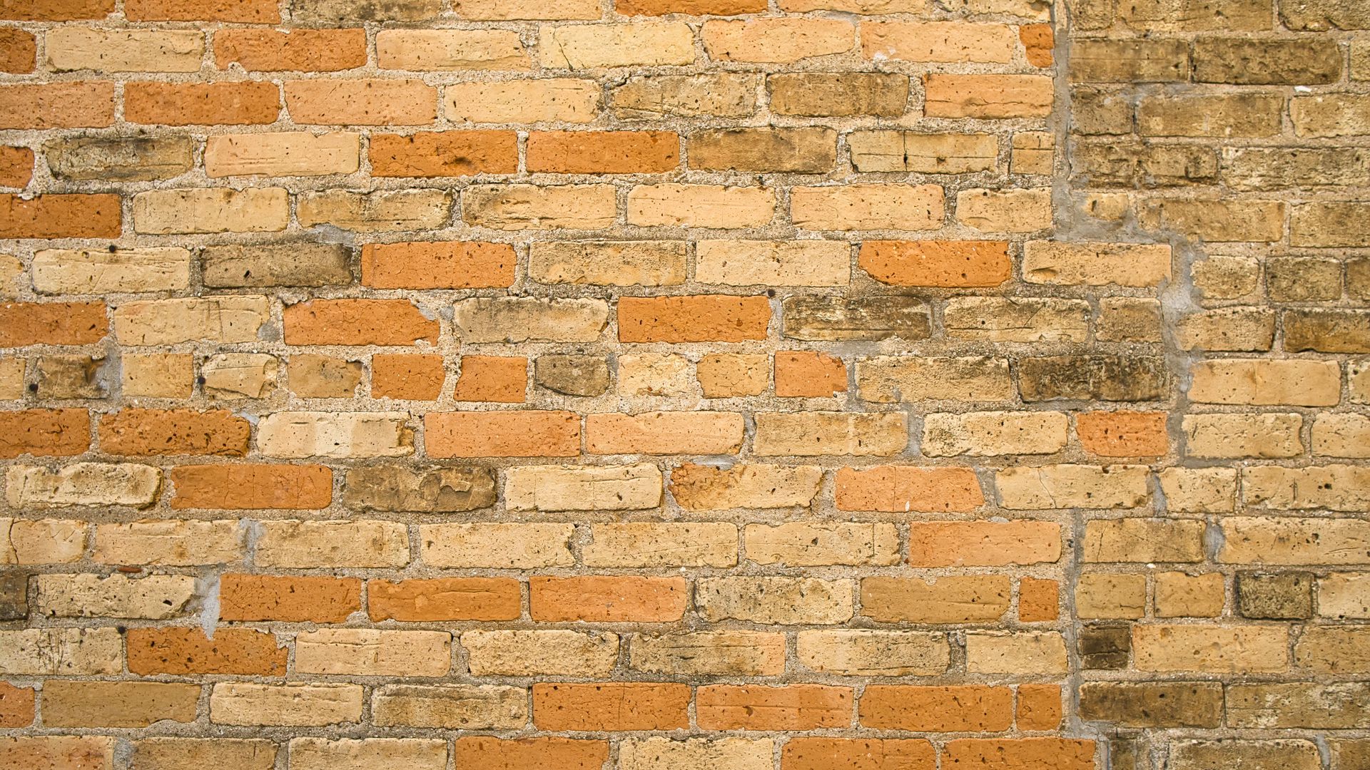 Download wallpaper 1920x1080 bricks, wall, surface, texture full hd