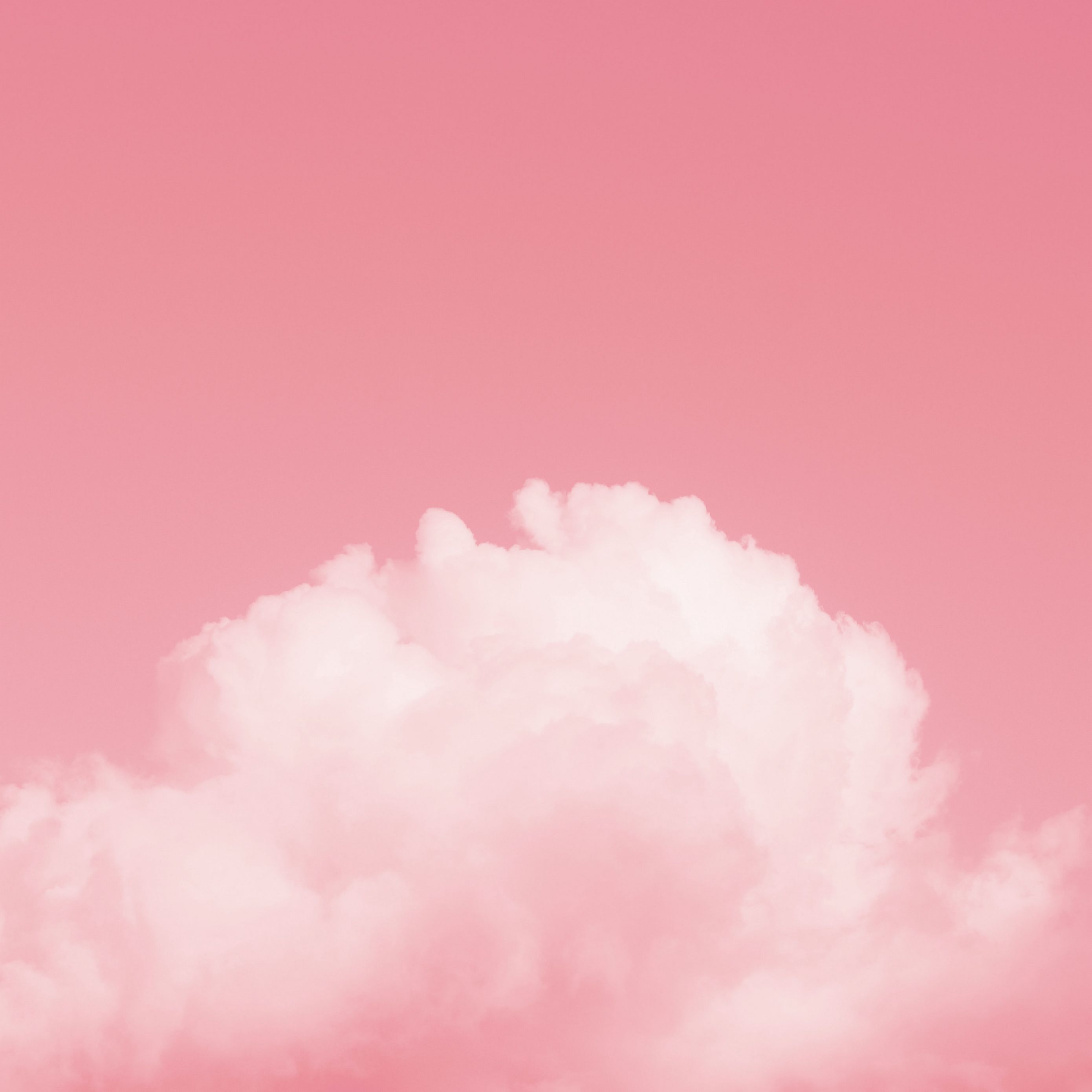 Get these beautiful Pink backgrounds for iPad For your Apple devices