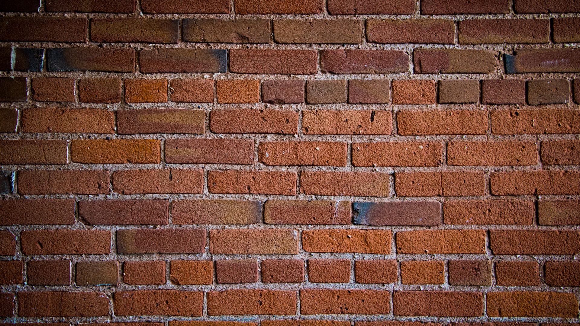 Download wallpaper 1920x1080 wall, bricks, texture full hd, hdtv, fhd