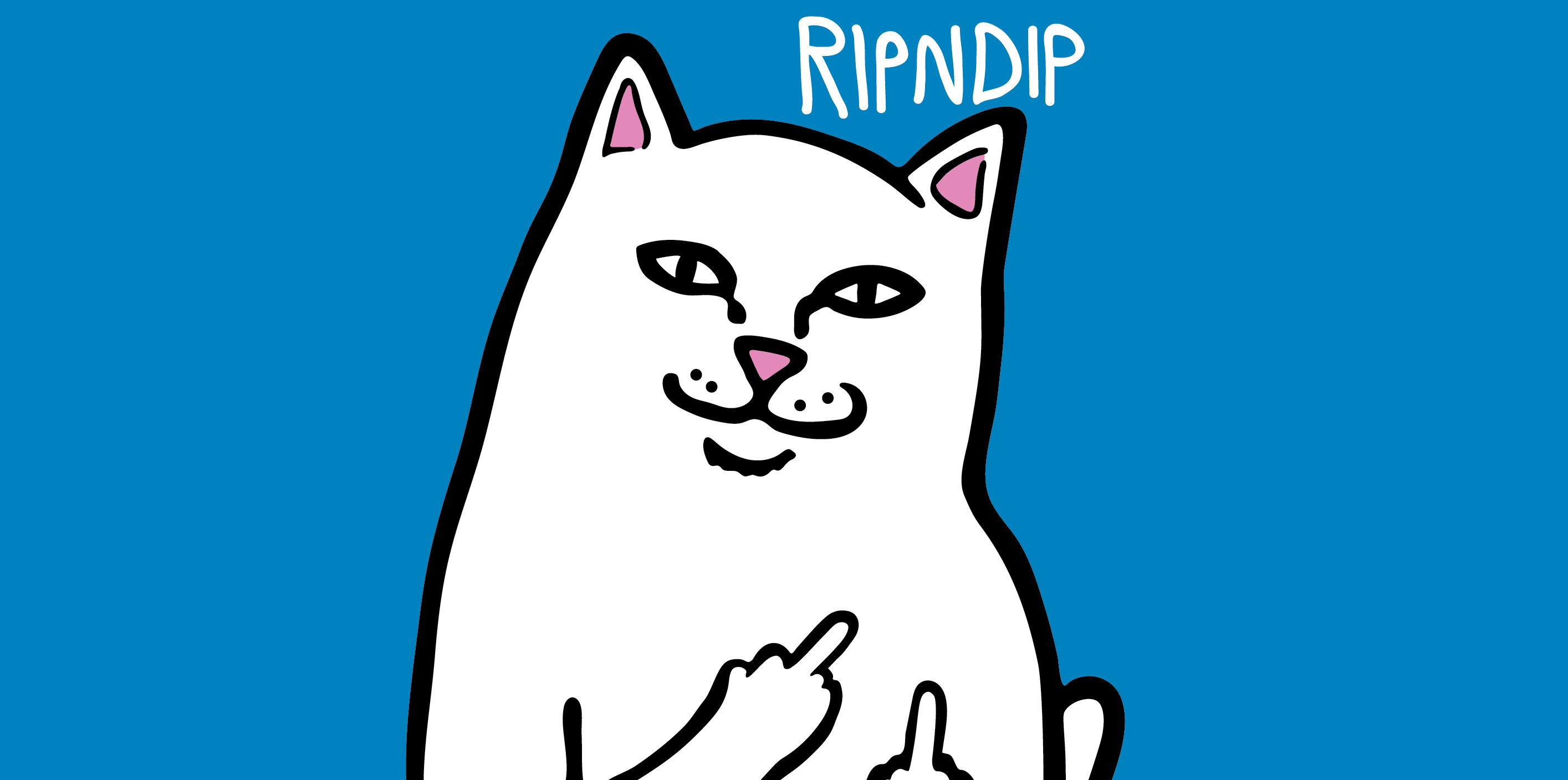 Ripndip va ouvrir un pop up à Paris ce week end WAVE®