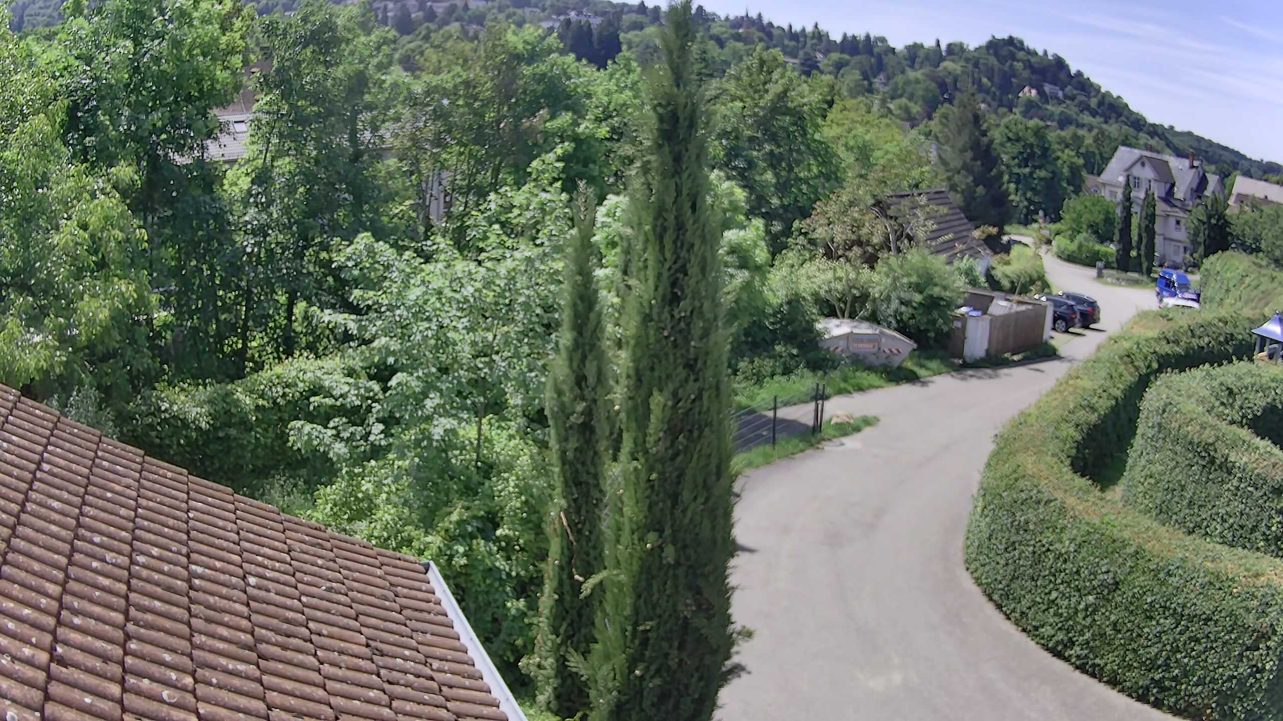Badenweiler Webcam Galore