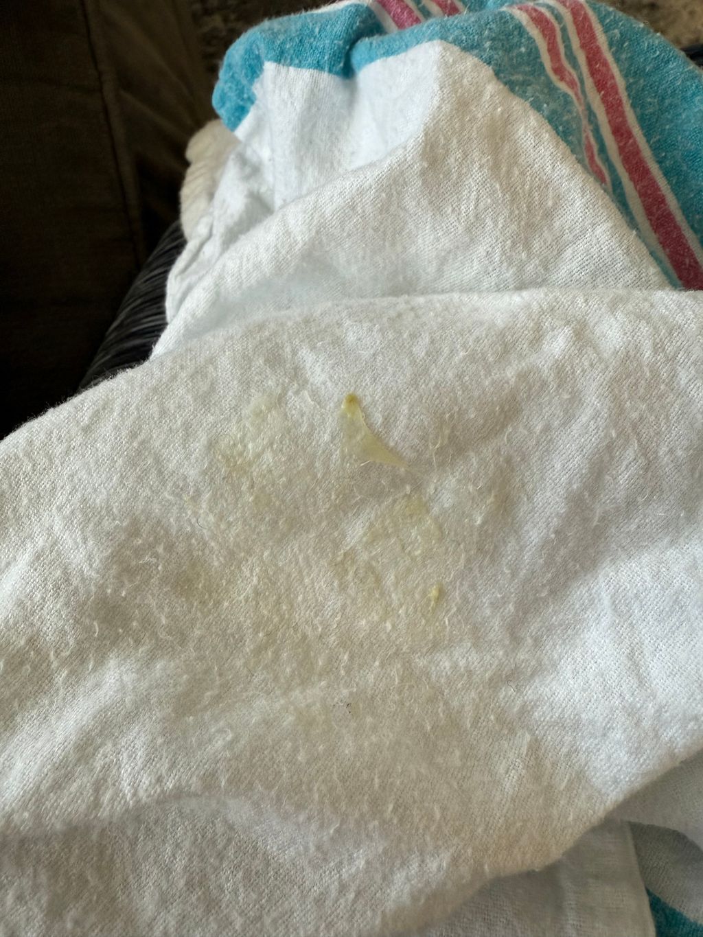 Small amount of yellow spit up pic included Baby's First Year