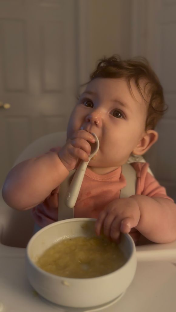 Mockingbird highchair!!! Baby's First Year Forums What to Expect