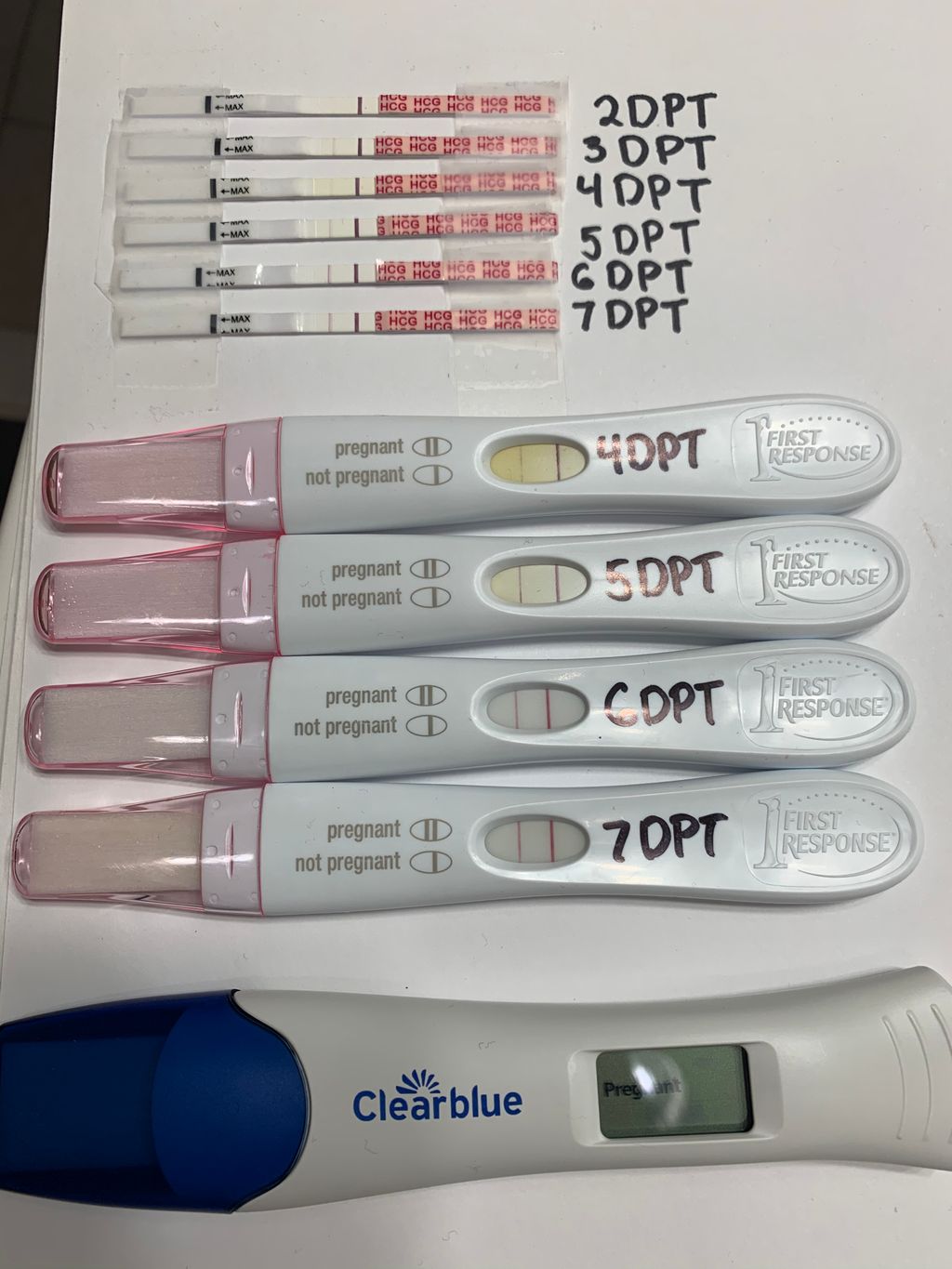 [ベスト] good line progression pregnancy test 207305Am i pregnant faint