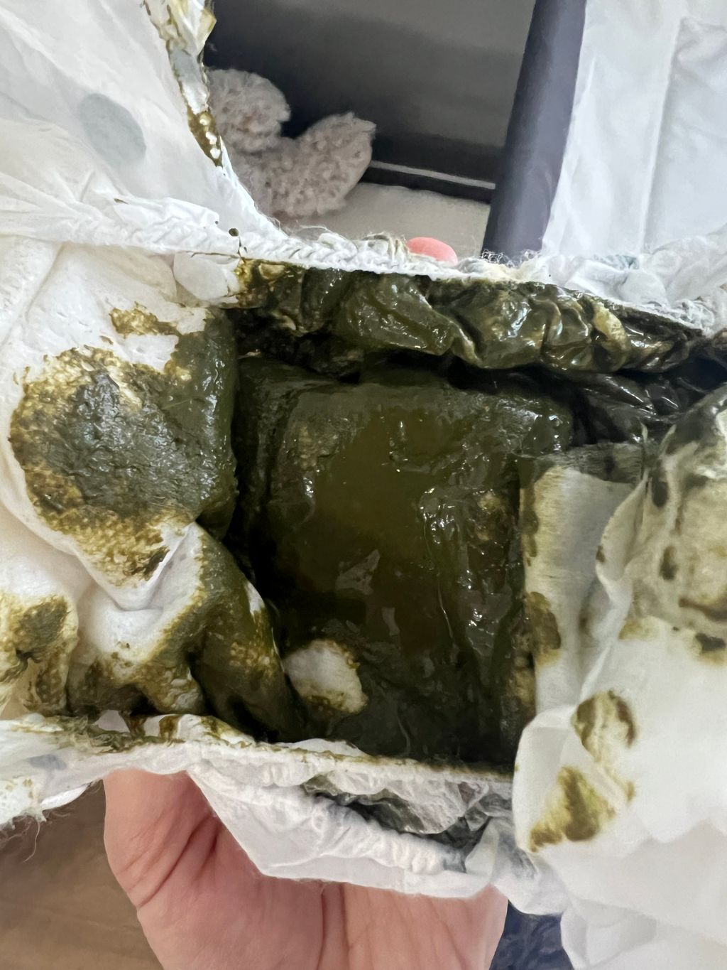 Dark green liquid stools…(pic included) March 2024 Babies Forums