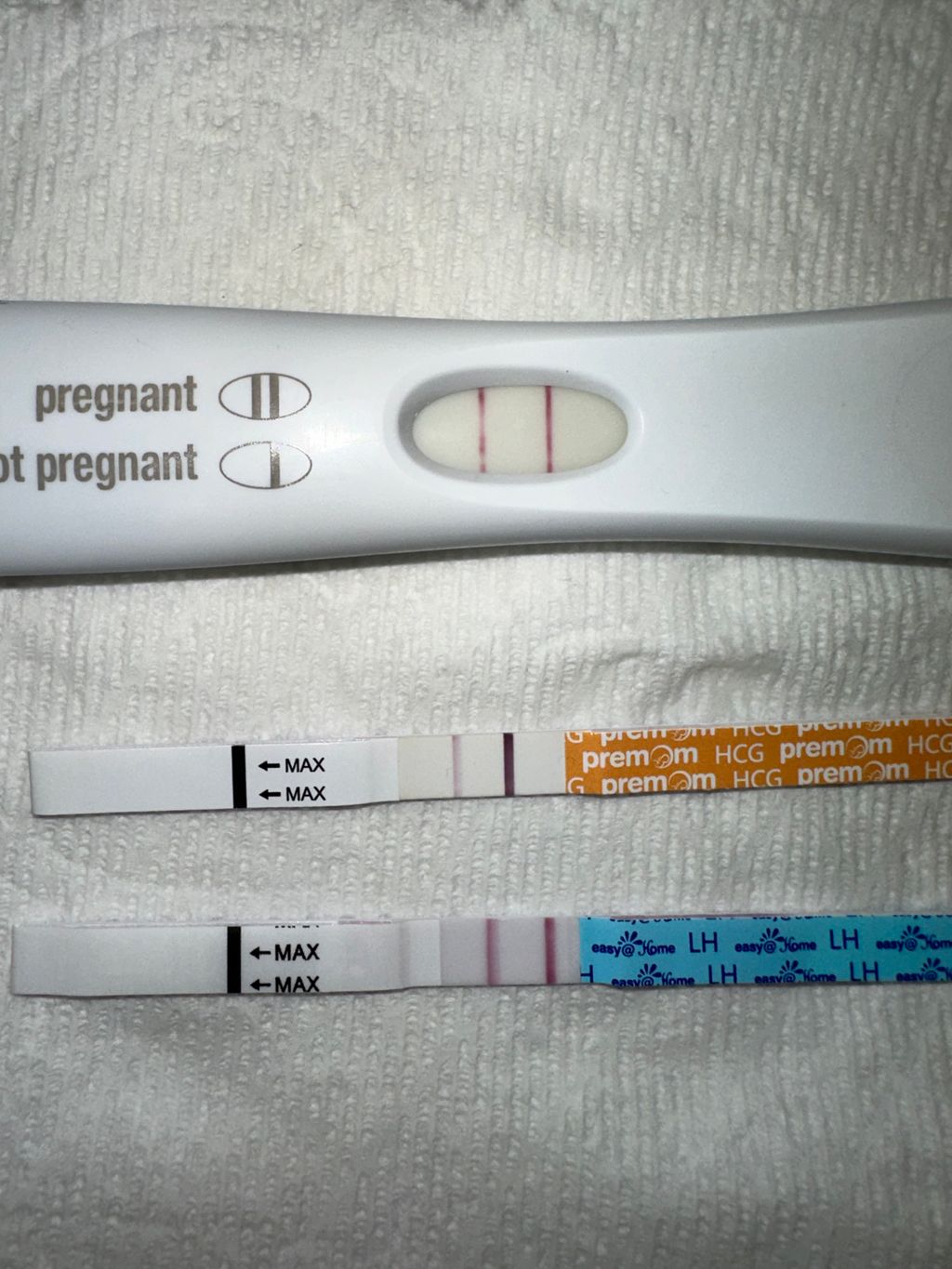 Ovulation tests before positive pregnancy test November 2024 Babies