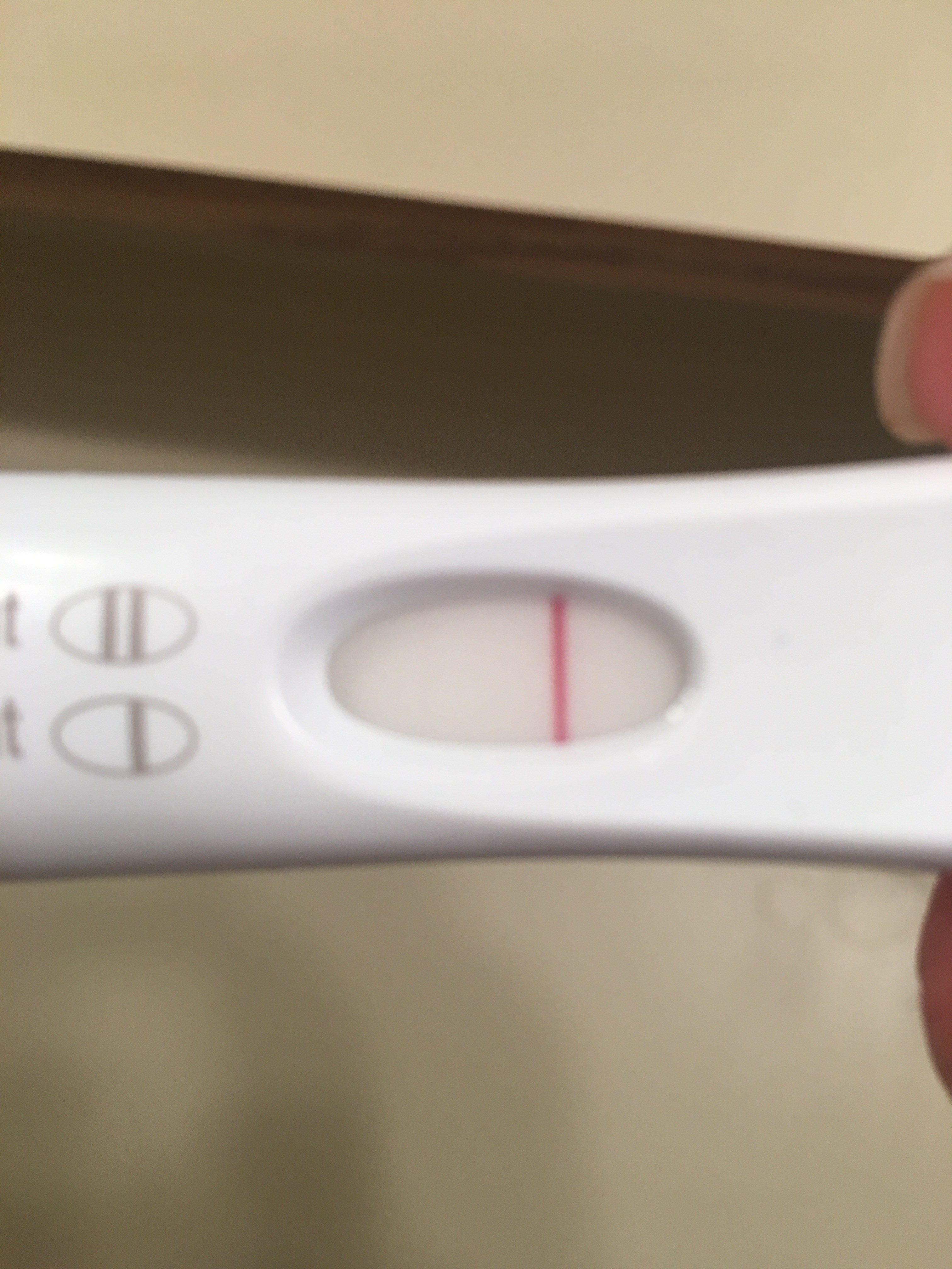 Pregnancy Test Inverter pregnancy test