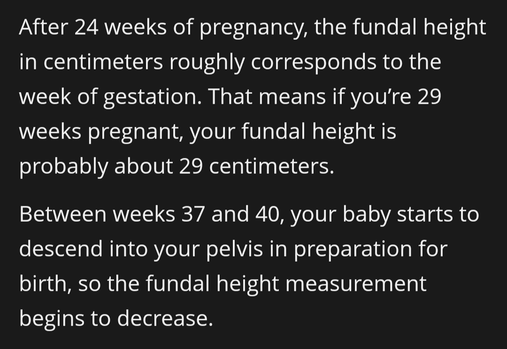 Fundal Height August 2024 Babies Forums What to Expect