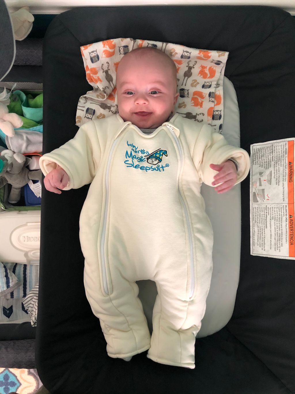 Help! transition swaddles Halo vs Love to Dream vs Merlin vs Nested