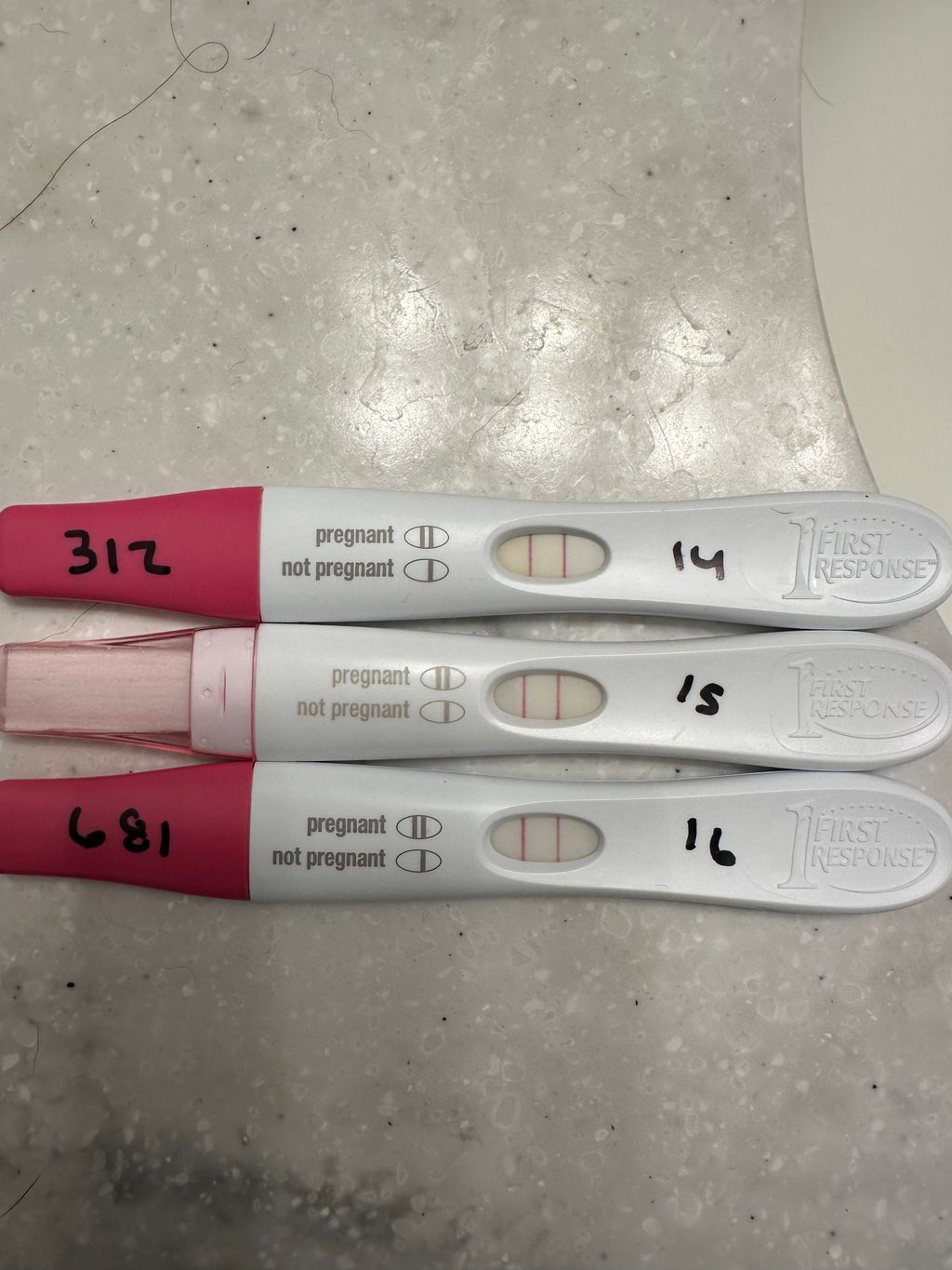 Let’s stop stressing out about progression lines! July 2025 Babies