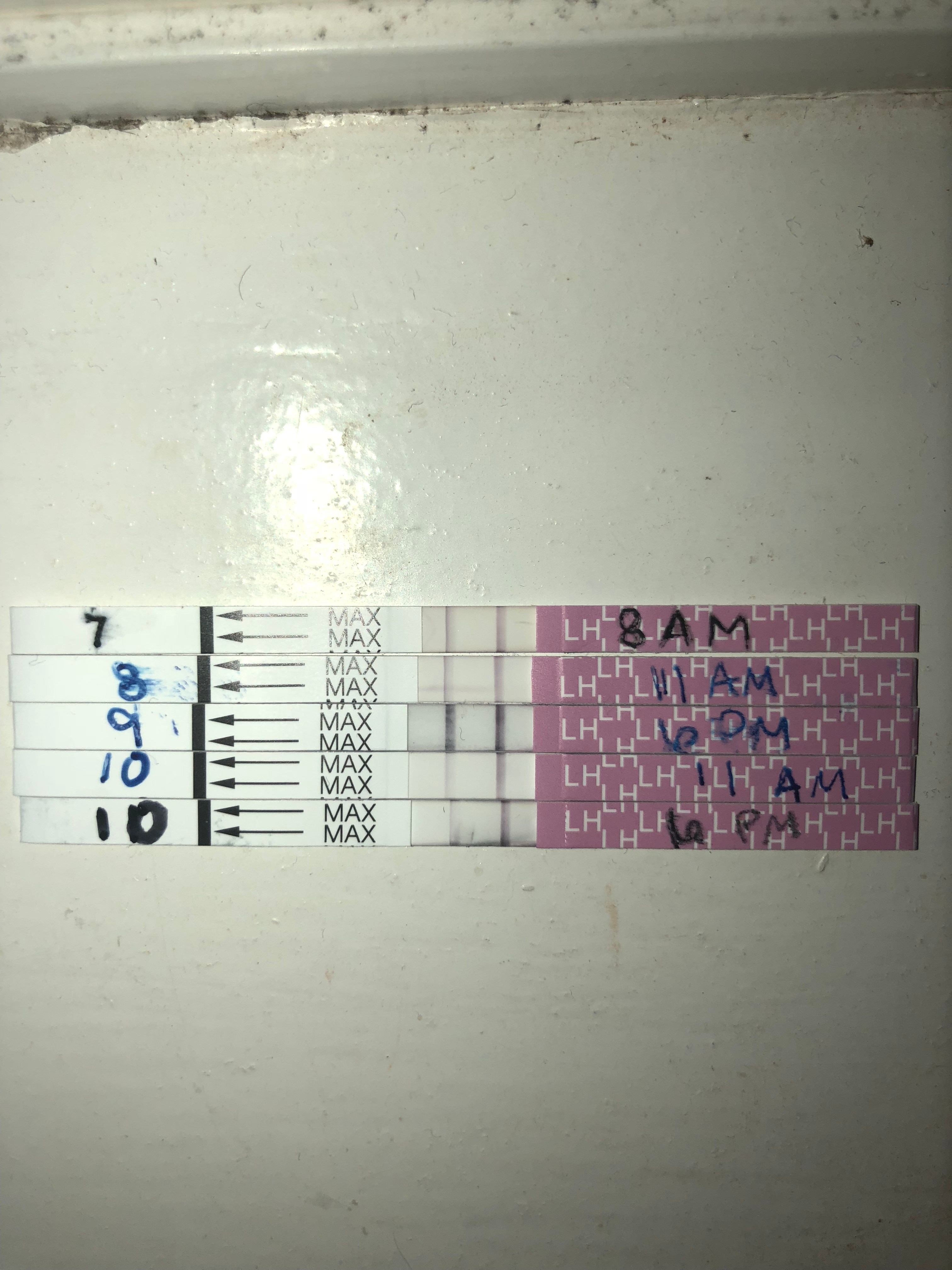 42 Day Cycle Positive Pregnancy Test Pregnancy Test Work